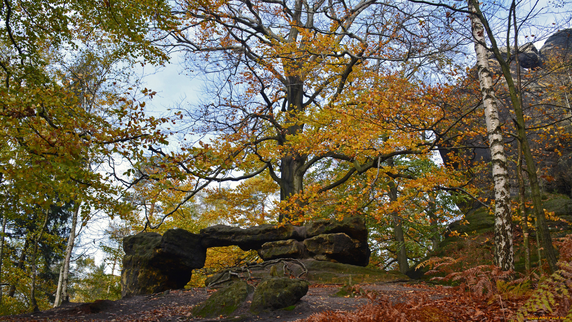 природа, пейзажи, осень