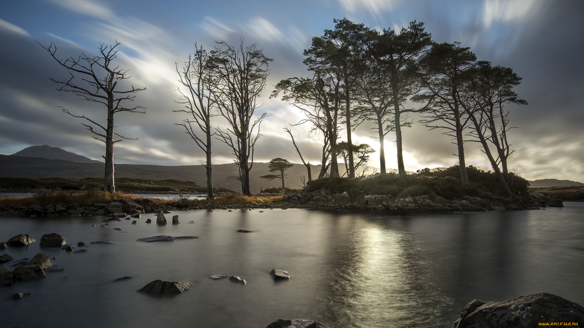 природа, реки, озера, река, лес