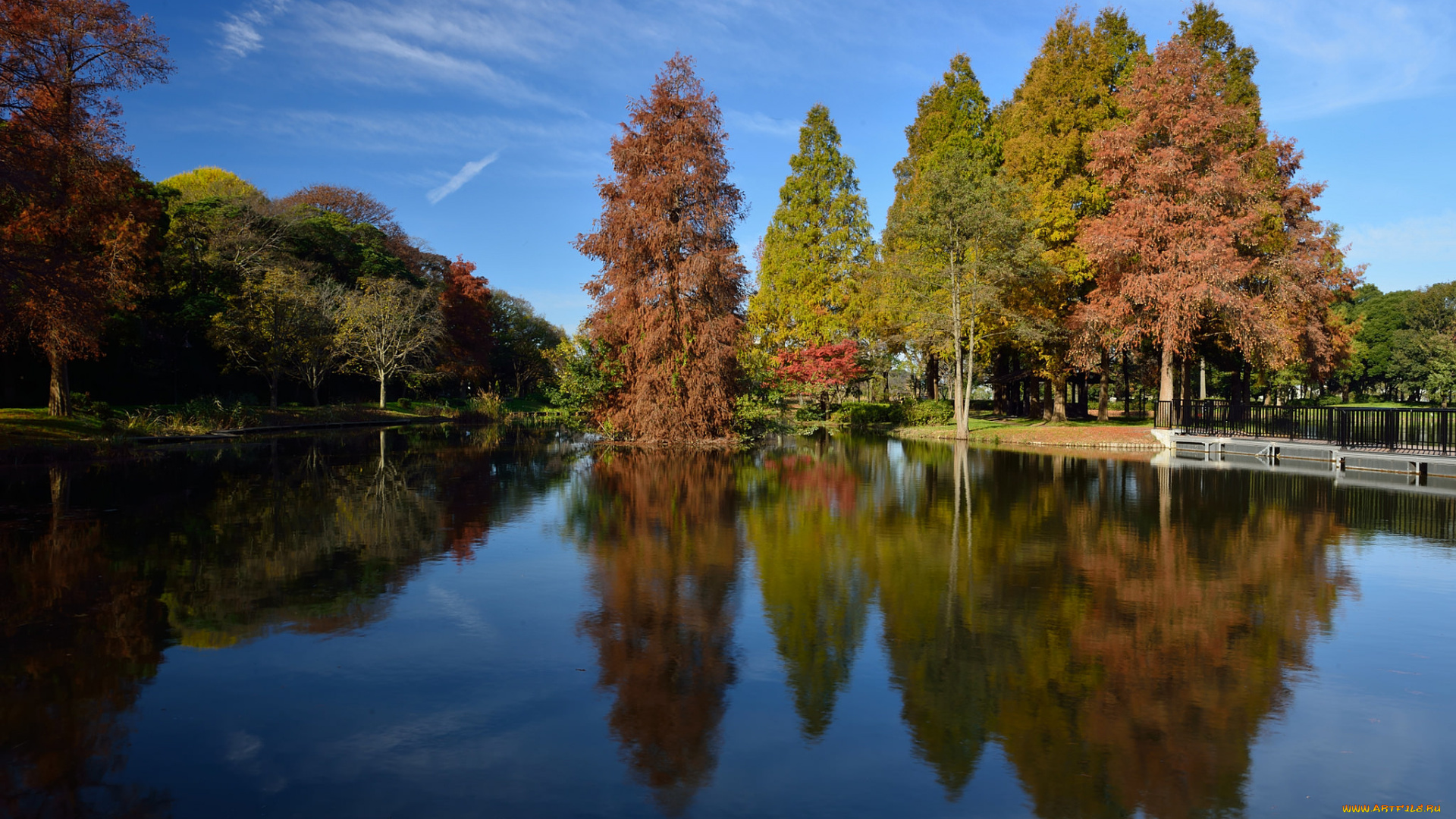природа, реки, озера, река, лес