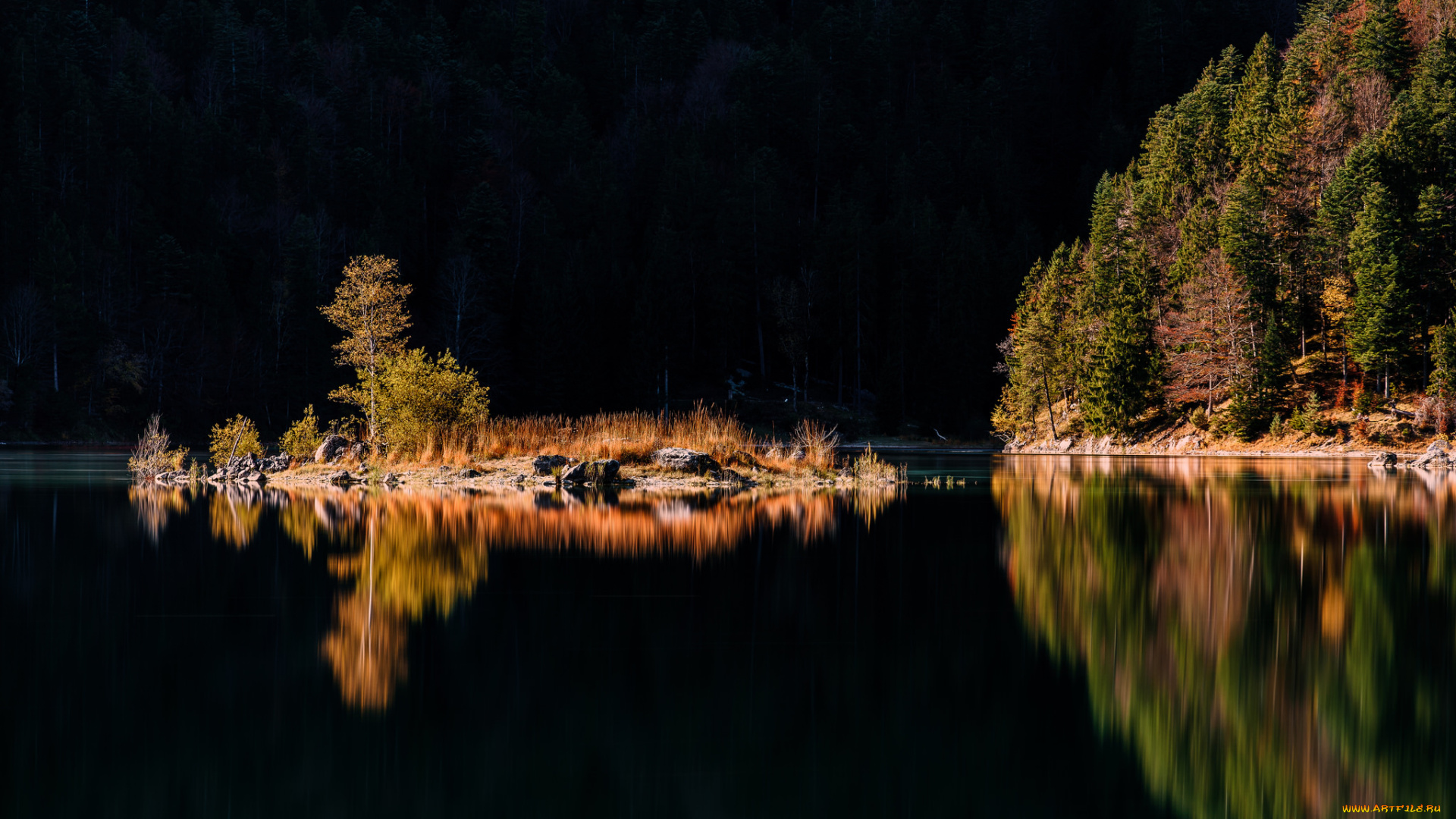 природа, реки, озера, река, лес