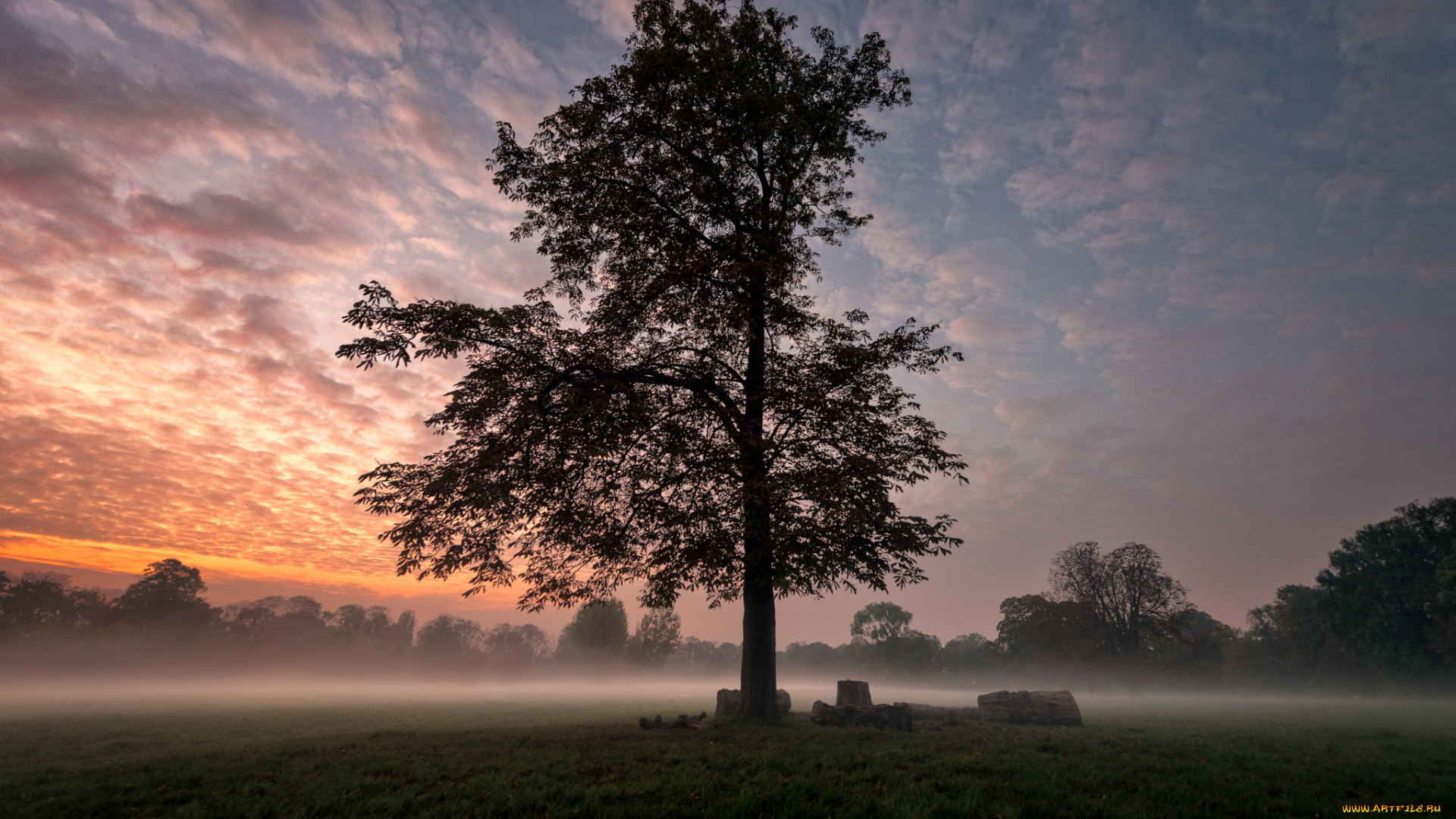 природа, восходы, закаты, рассвет