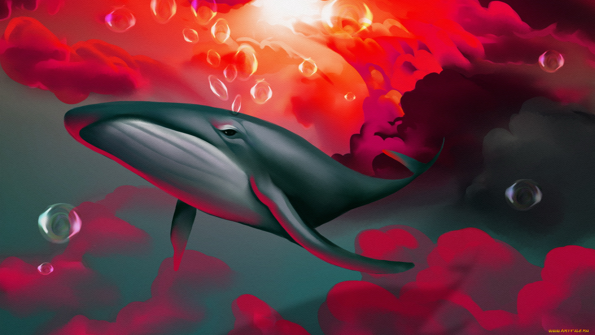 рисованное, животные, , рыбы, кит