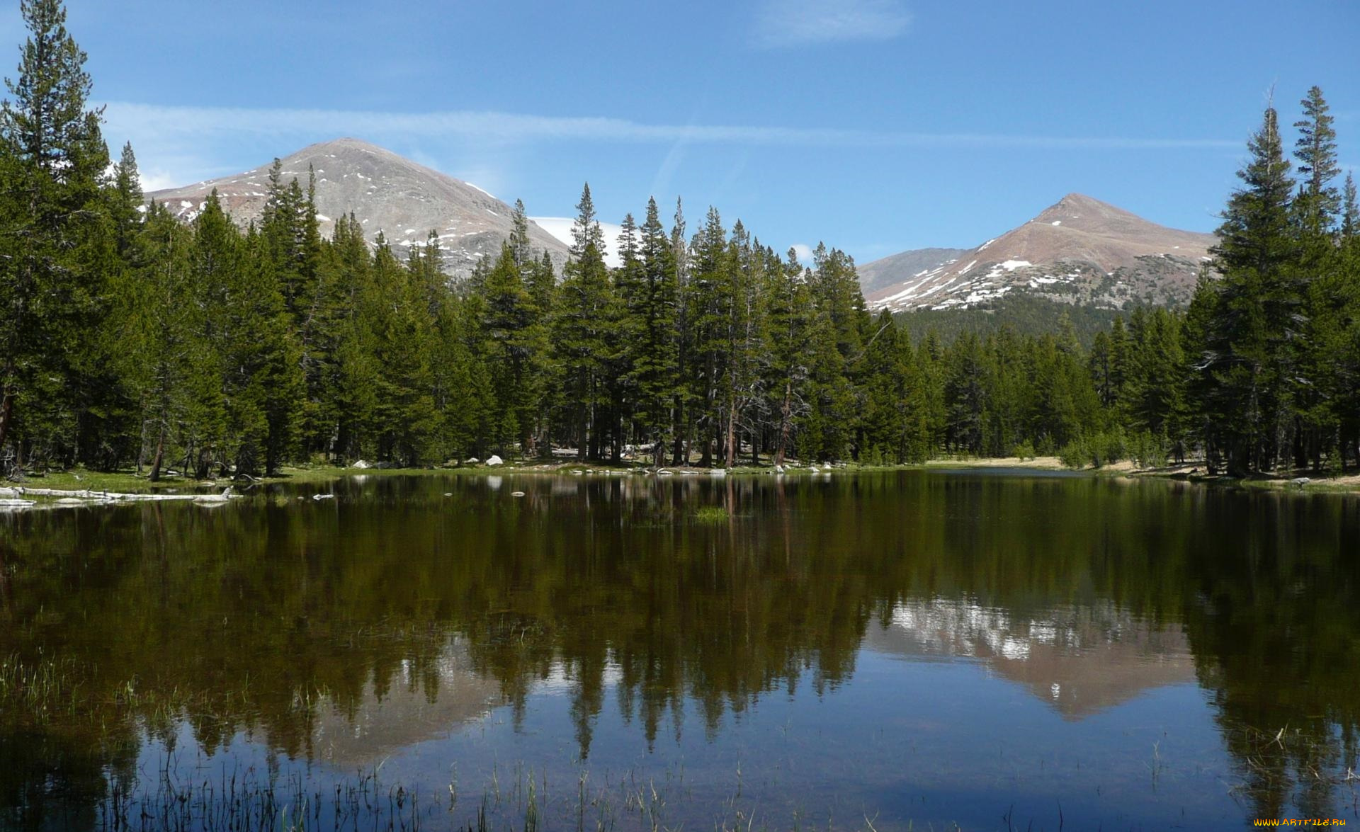 природа, реки, озера, река, лес, горы