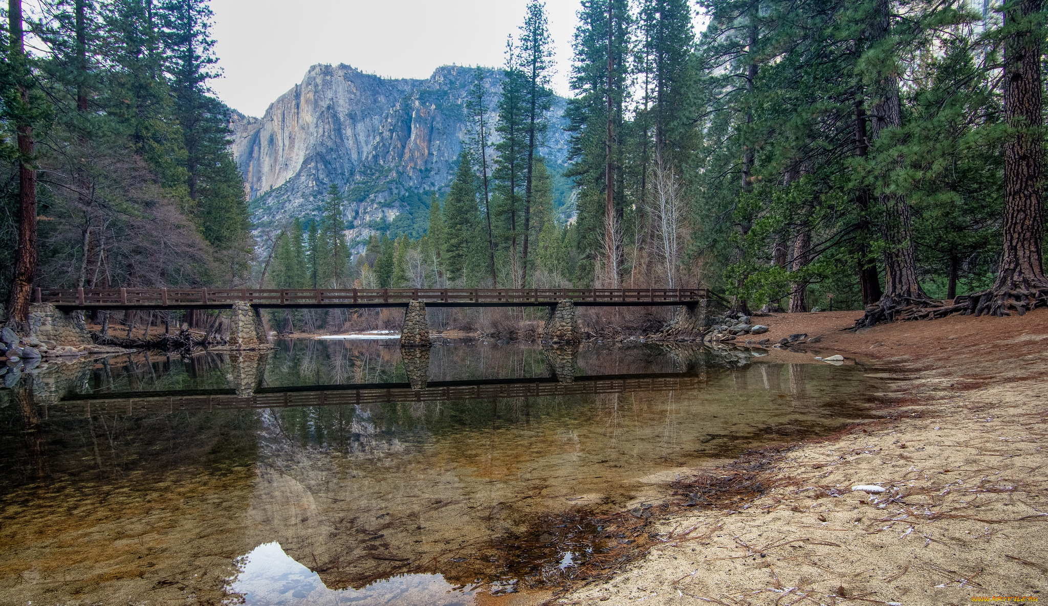 природа, реки, озера, лес, река