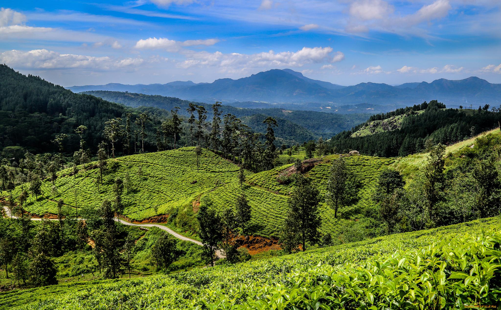 природа, дороги, трасса, лес, горы