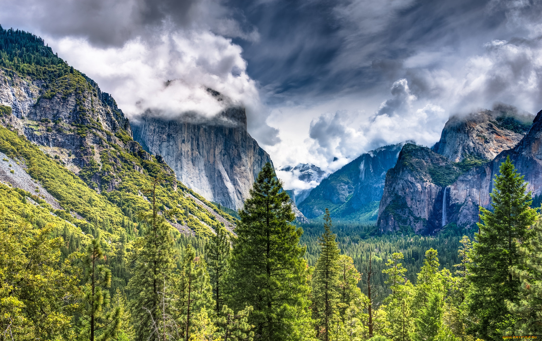 природа, горы, скалы, лес