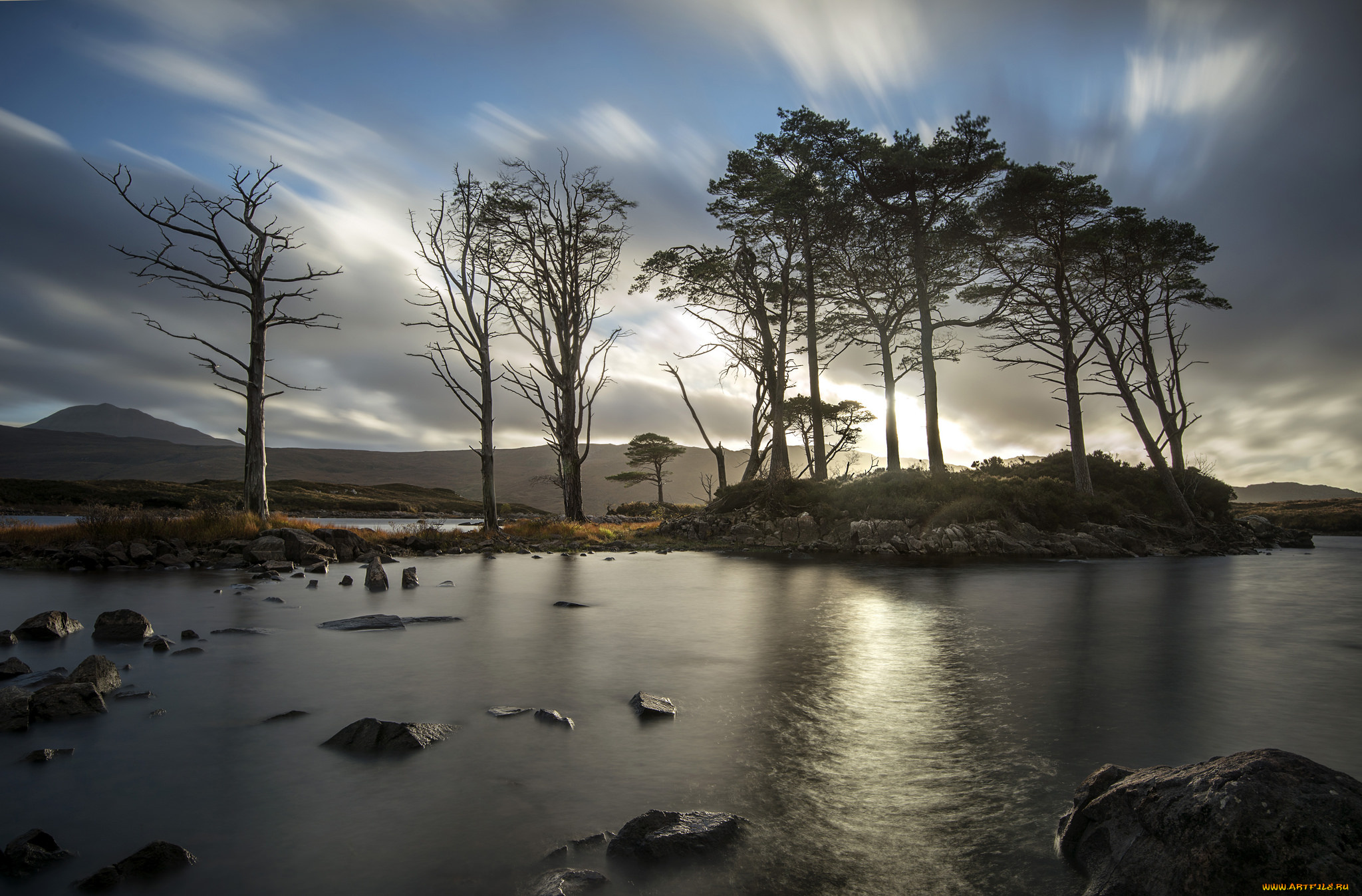 природа, реки, озера, река, лес