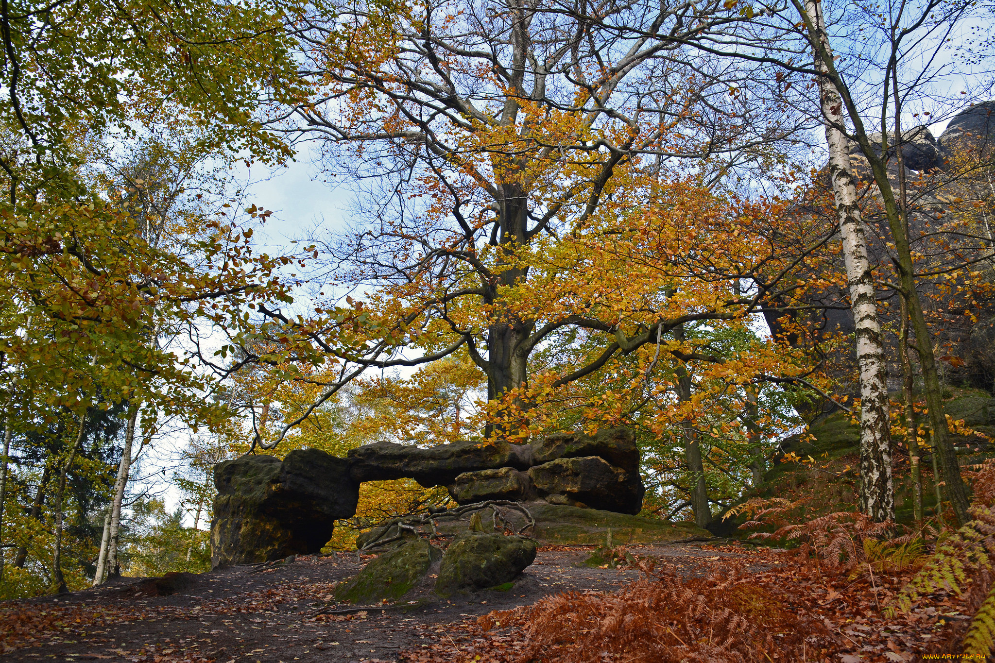 природа, пейзажи, осень