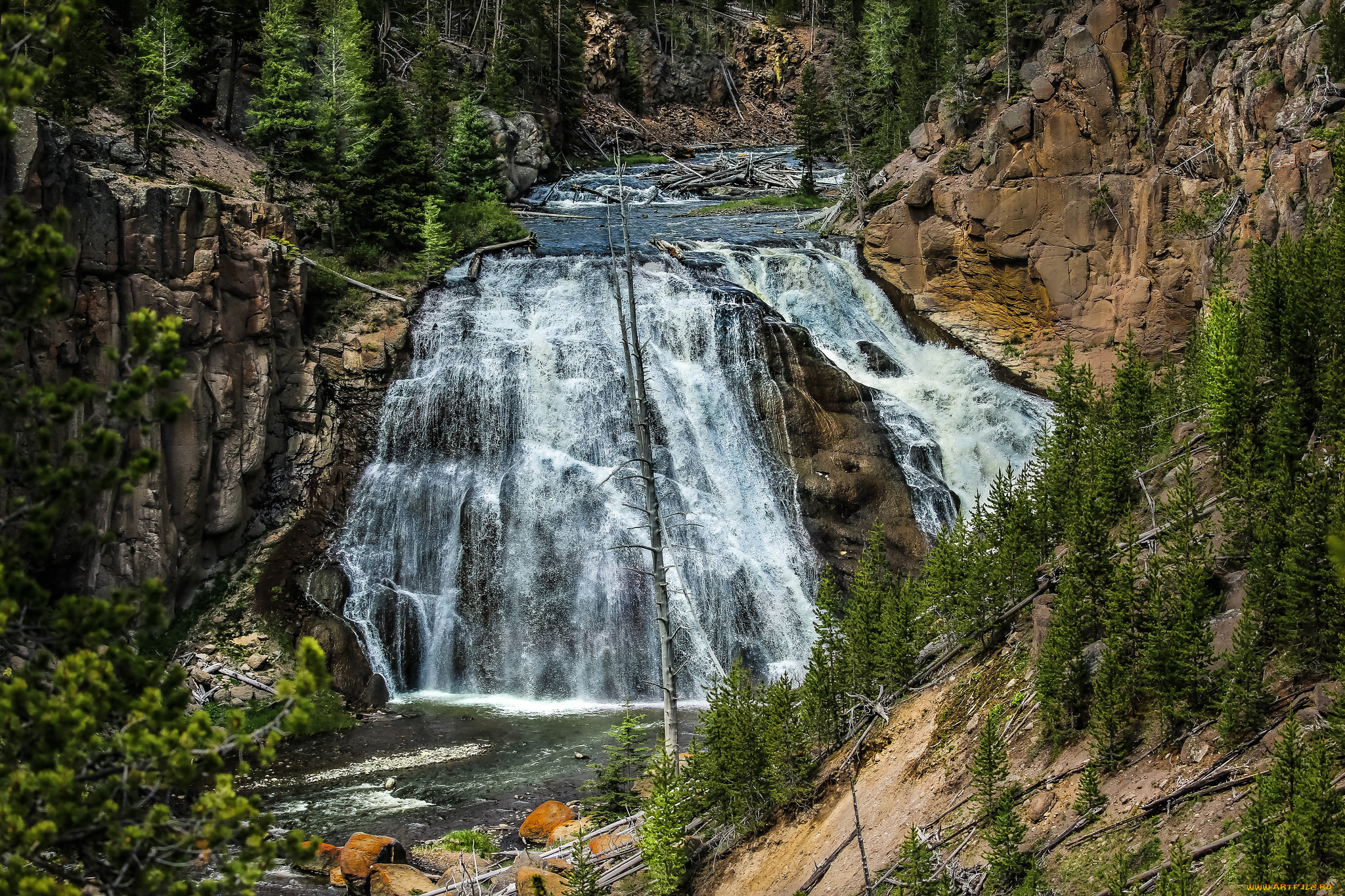 природа, водопады, водопад, лес, река
