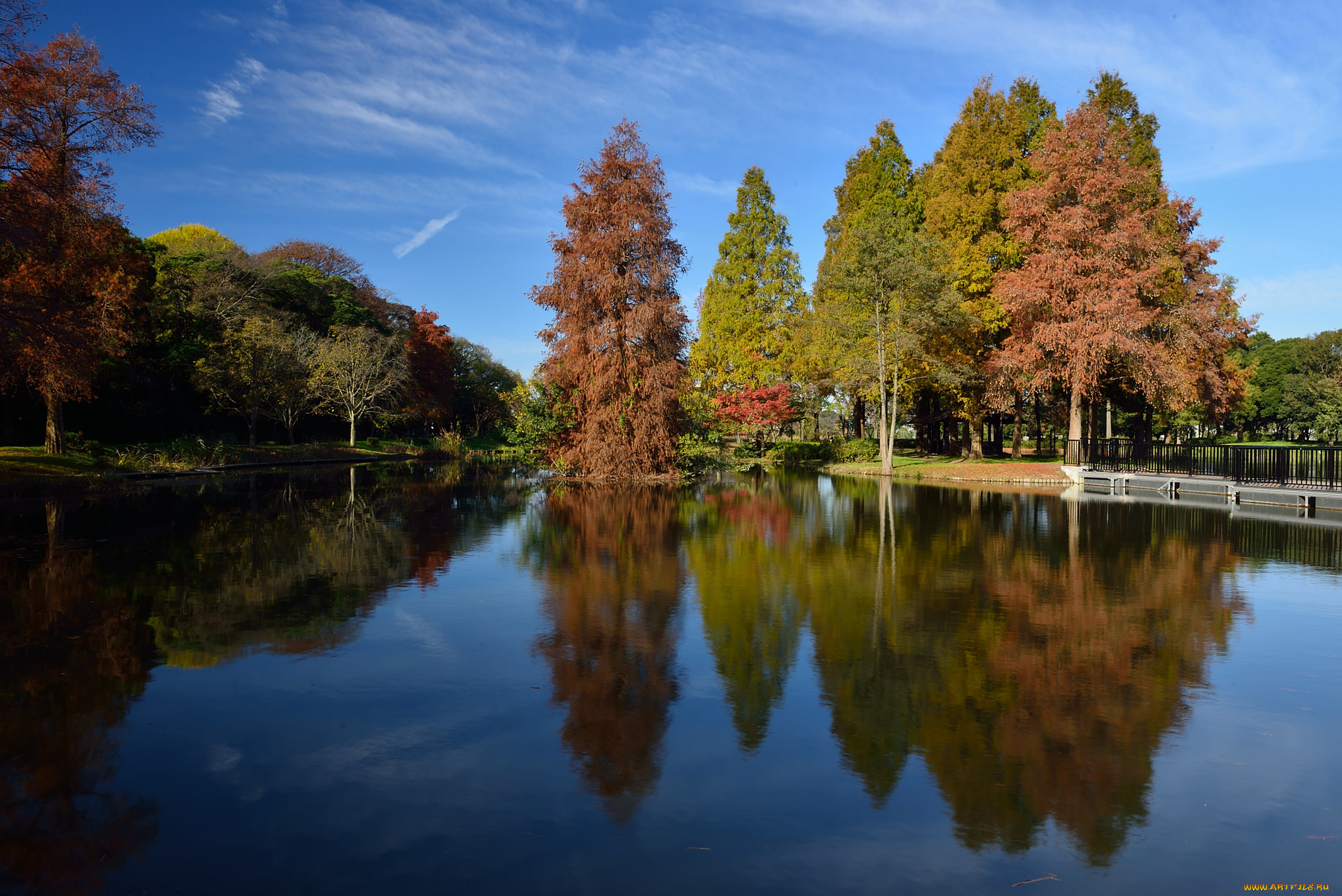 природа, реки, озера, река, лес