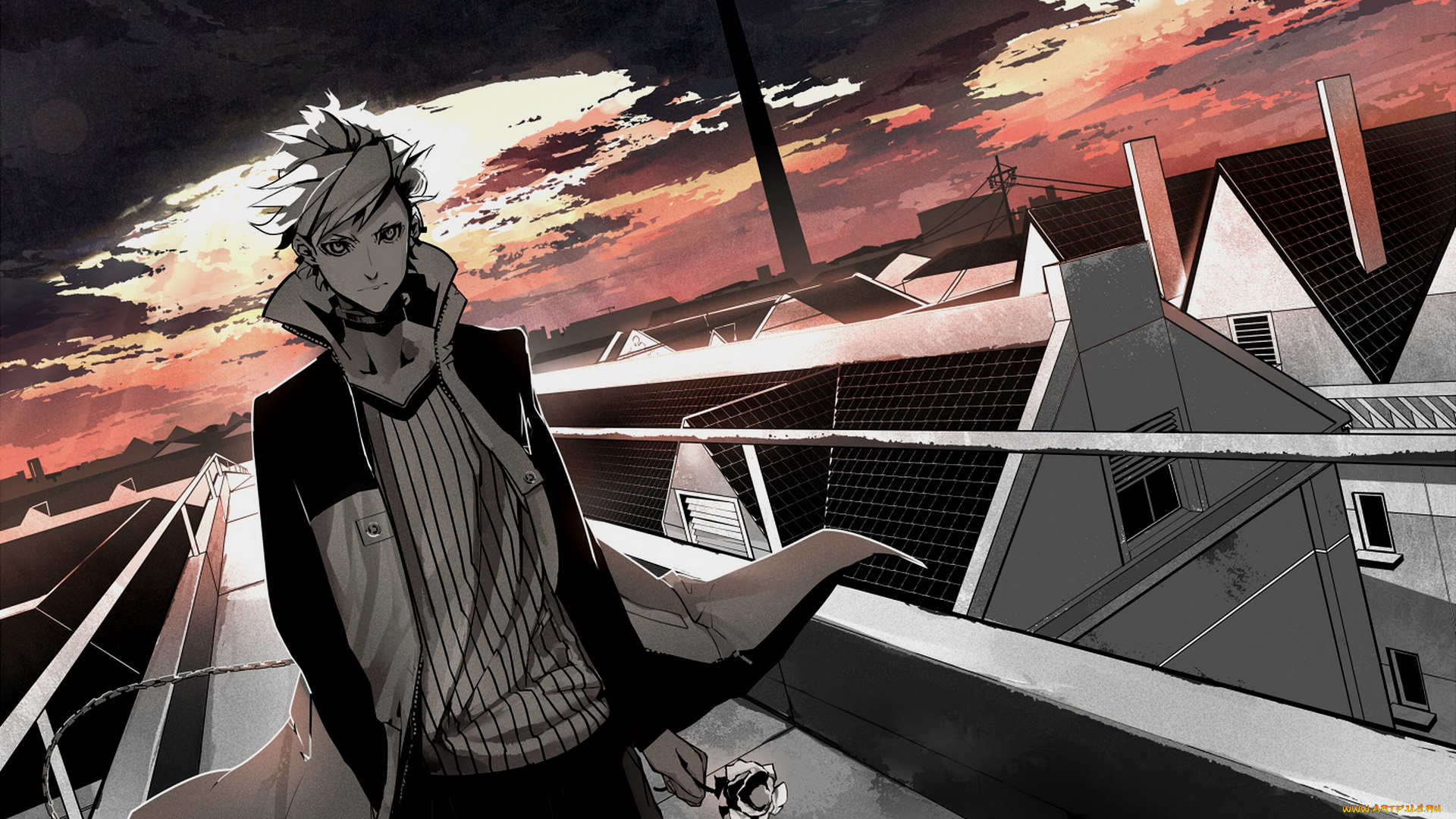 аниме, dogs, , bullets, &, carnage, парень, закат