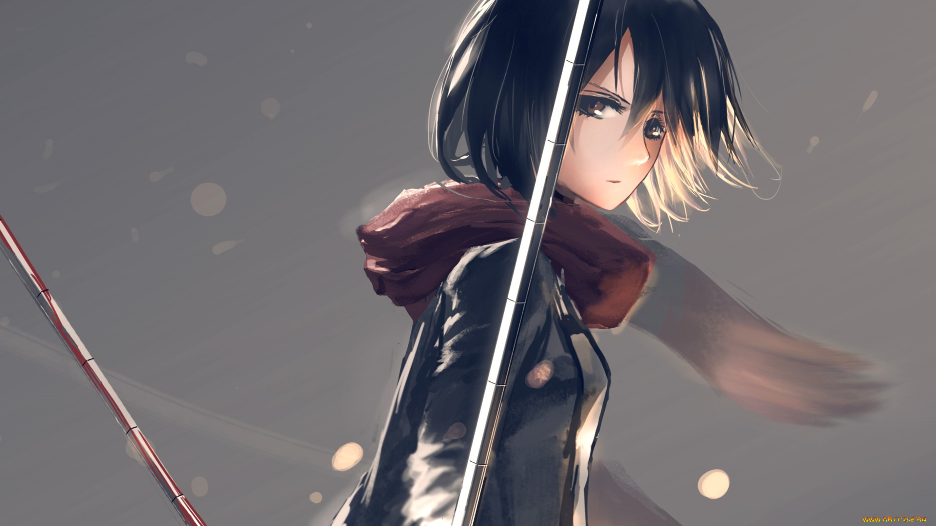 аниме, shingeki, no, kyojin, mikasa, ackerman