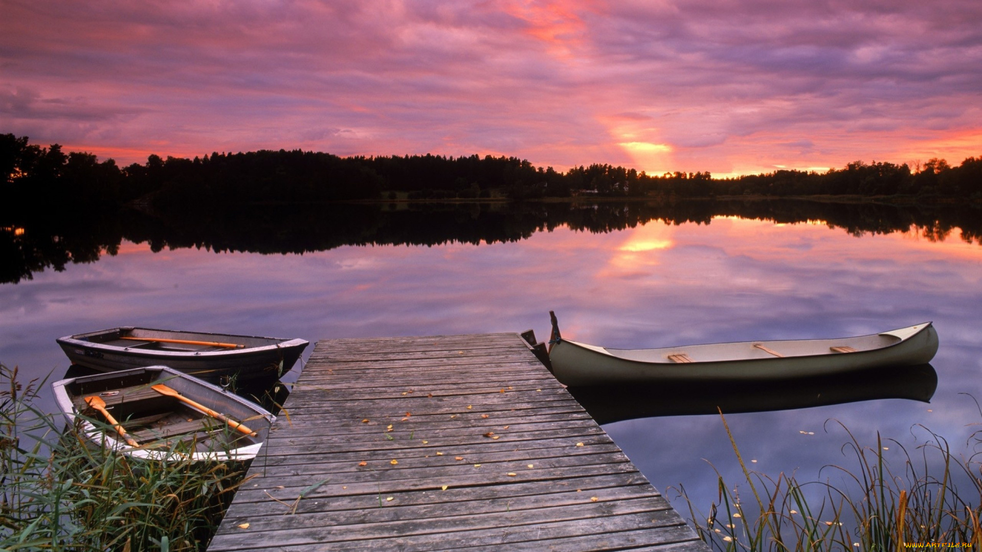 корабли, лодки, , шлюпки, камыши, река, лето