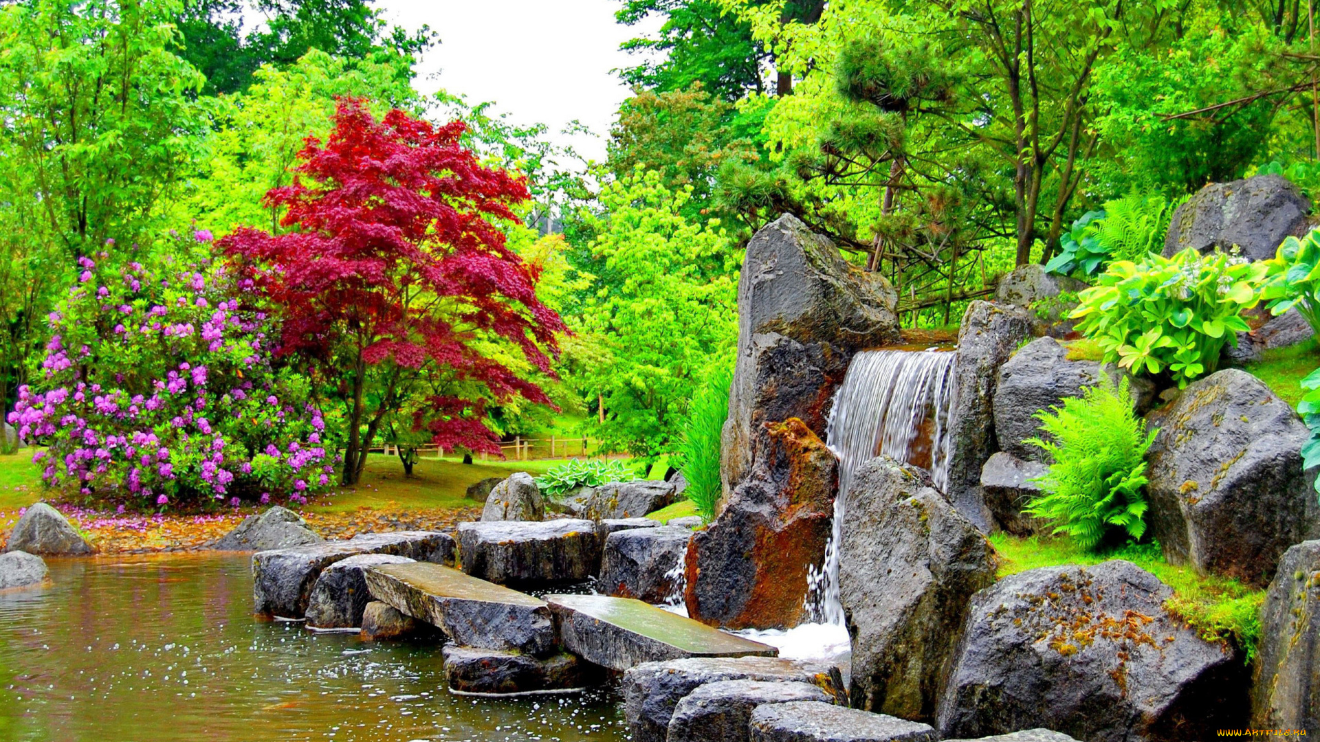 природа, парк, деревья, водопад