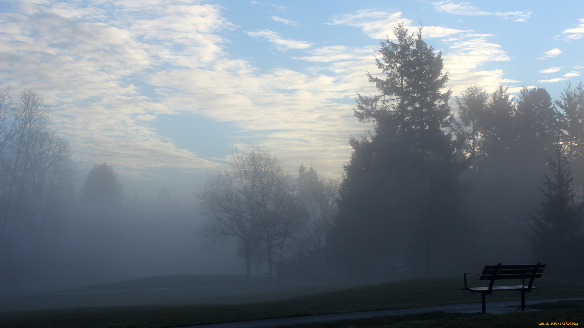 природа, парк, скамья, настроение, утро, туман