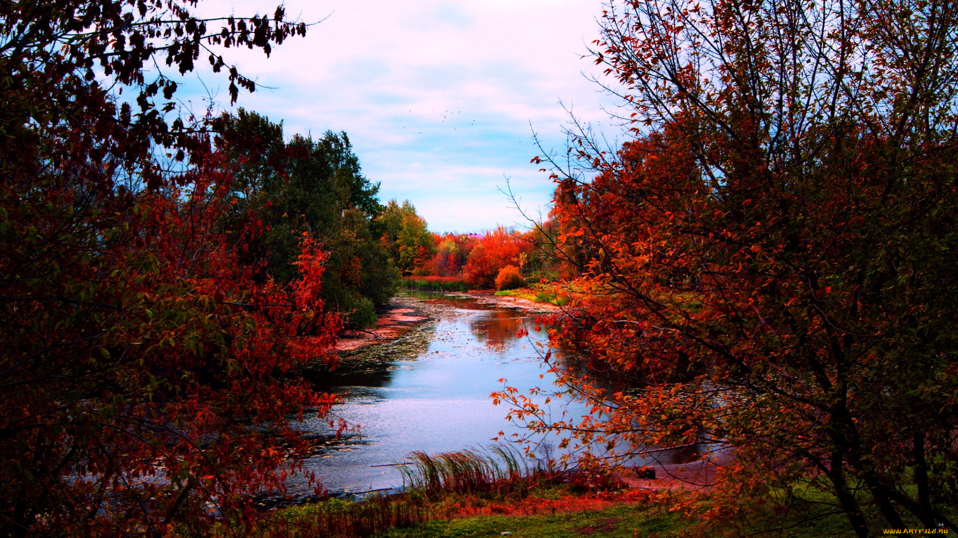 природа, реки, озера, осень, багрянец, деревья, река