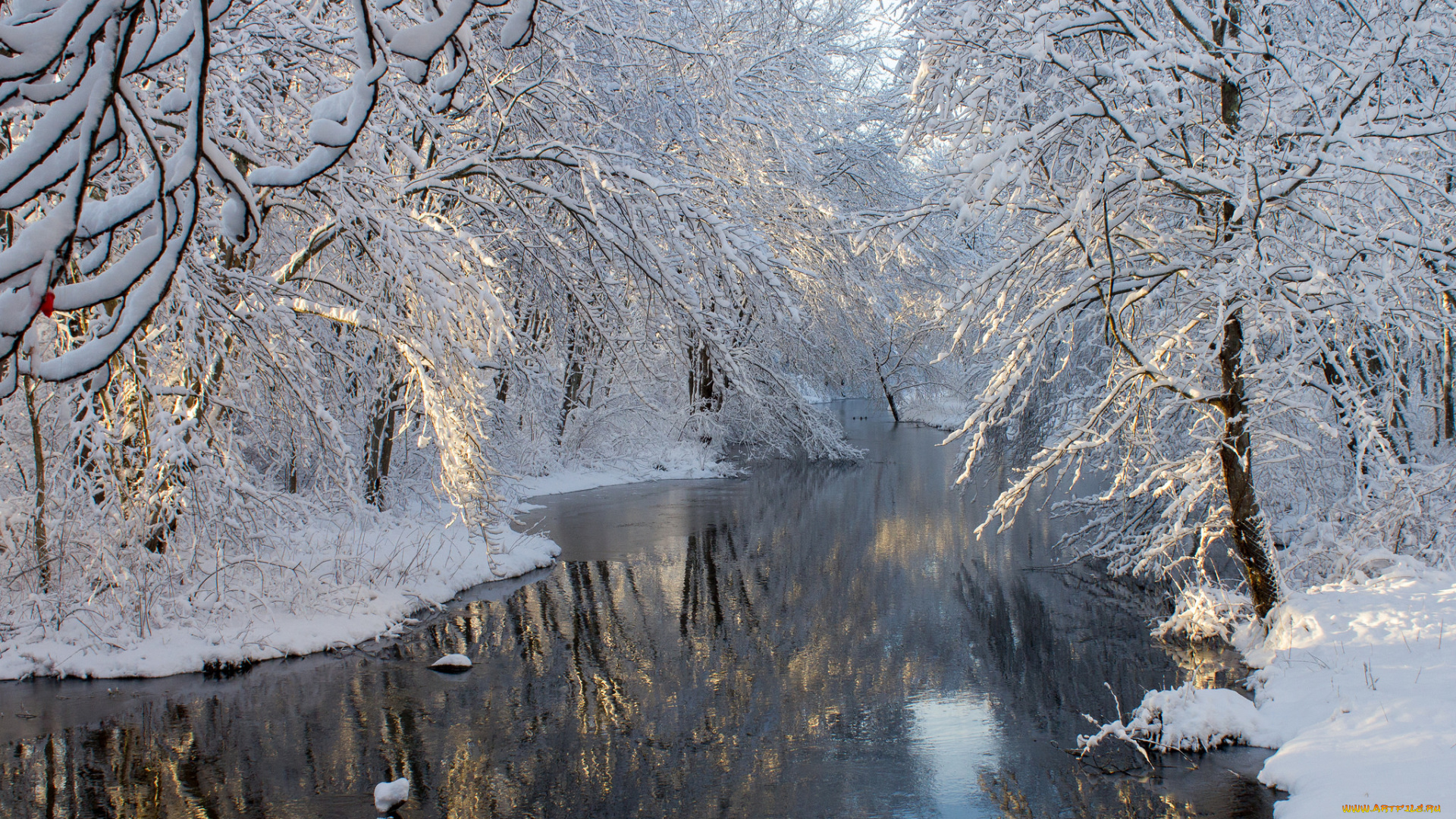 природа, реки, озера, река, деревья, снег