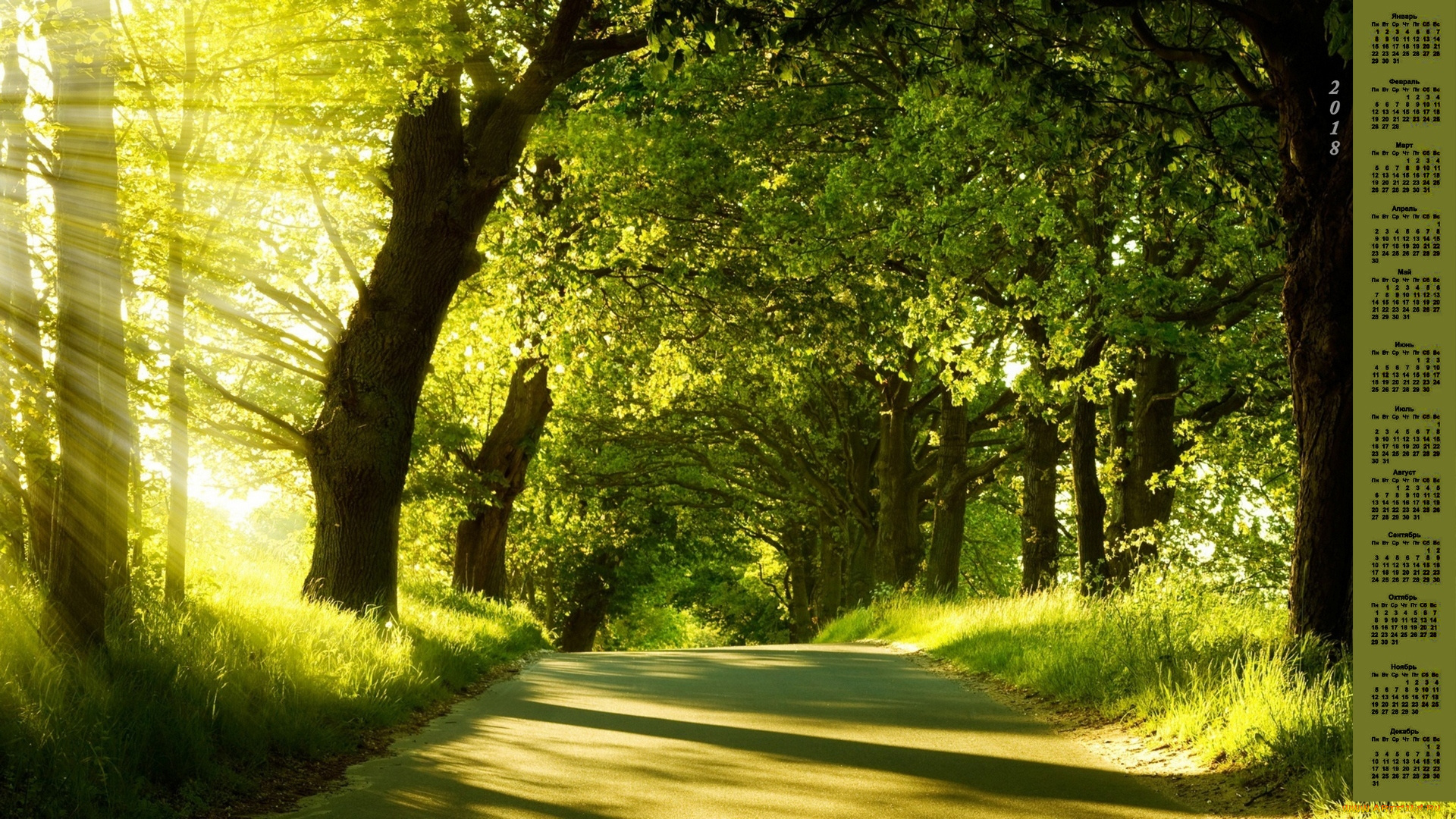 календари, природа, 2018, деревья, дорога, свет