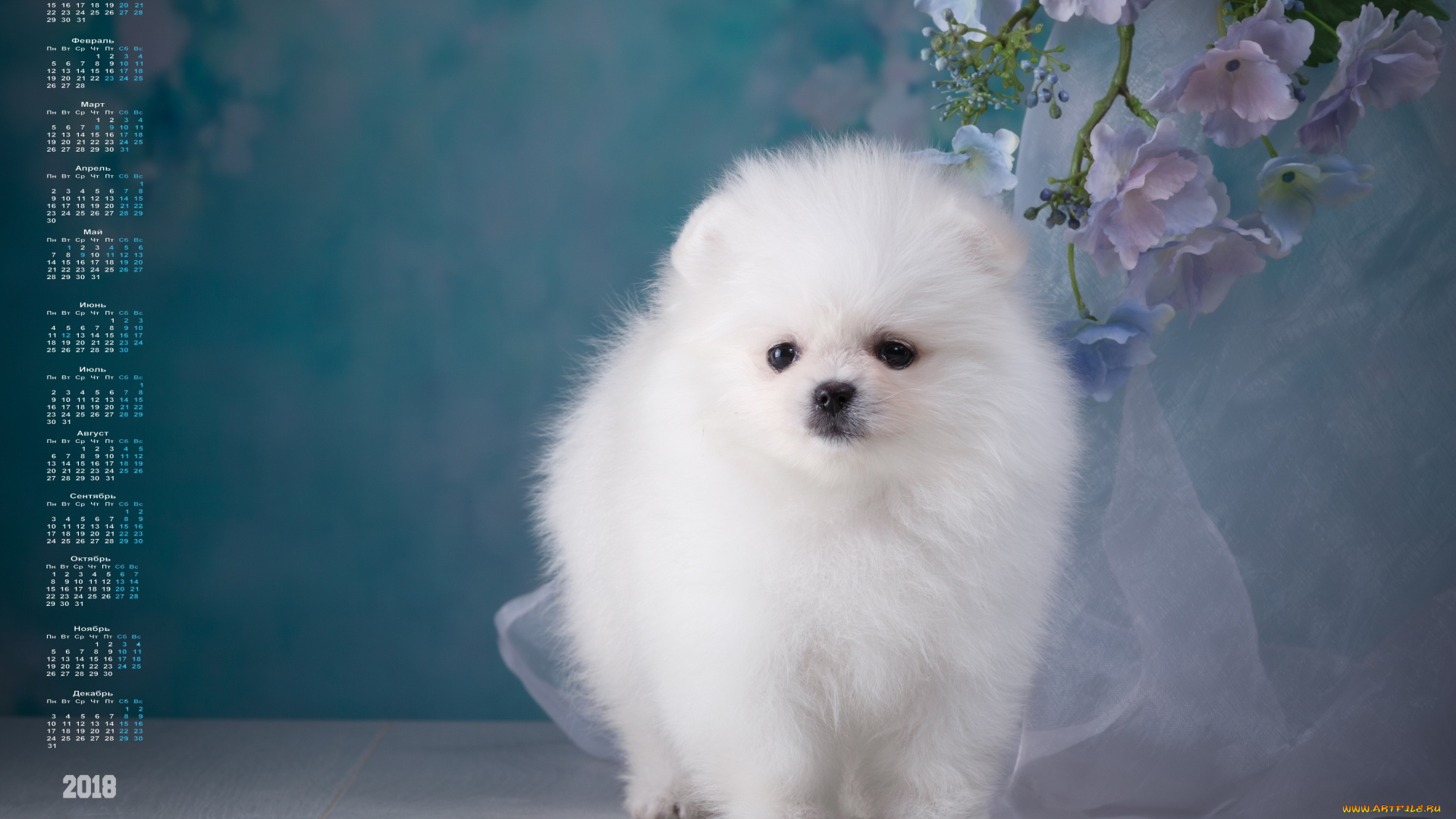 календари, животные, 2018, взгляд, собака, цветы