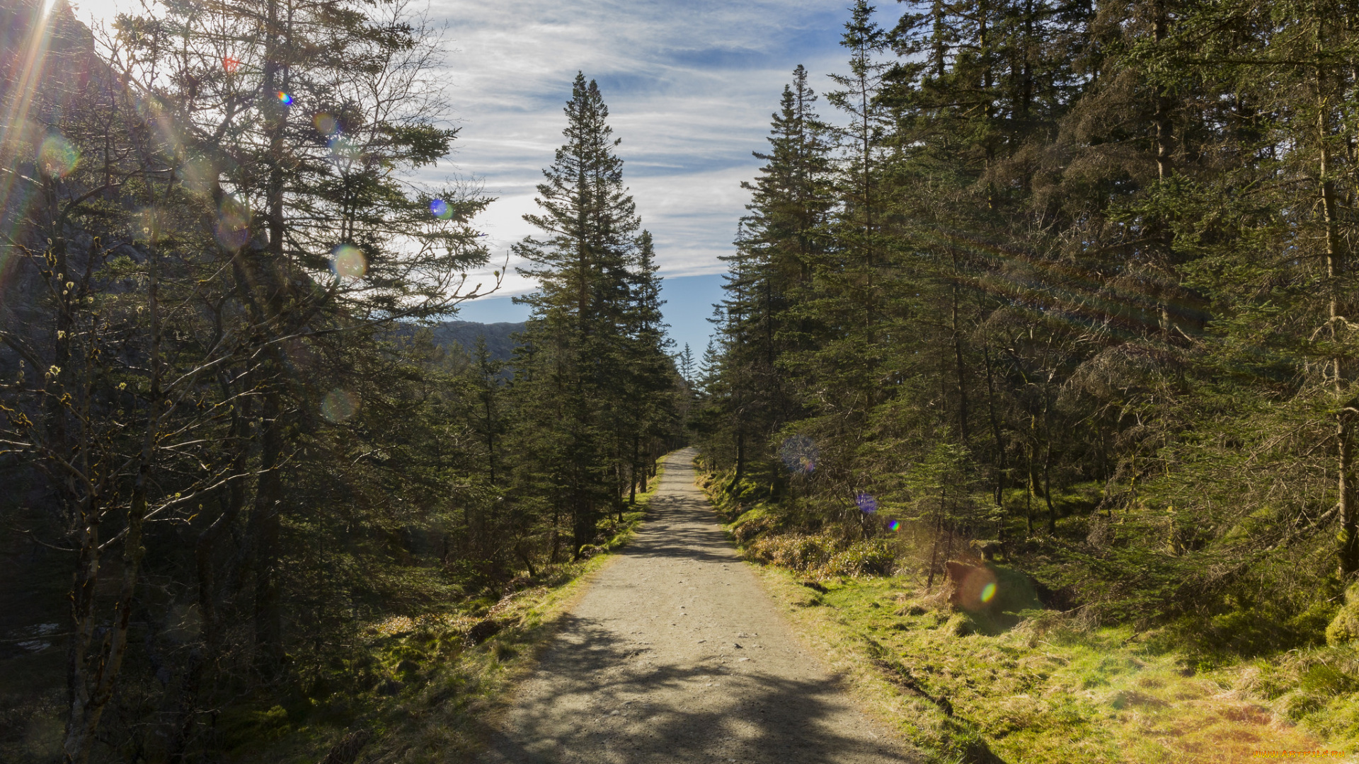 природа, дороги, простор