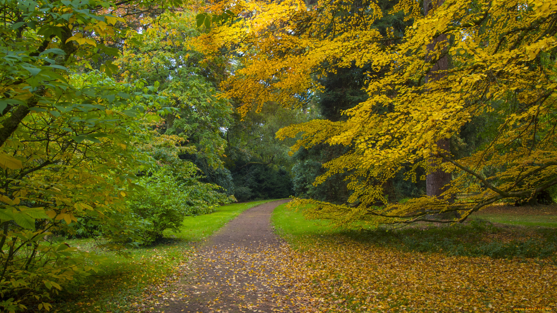 природа, дороги, простор