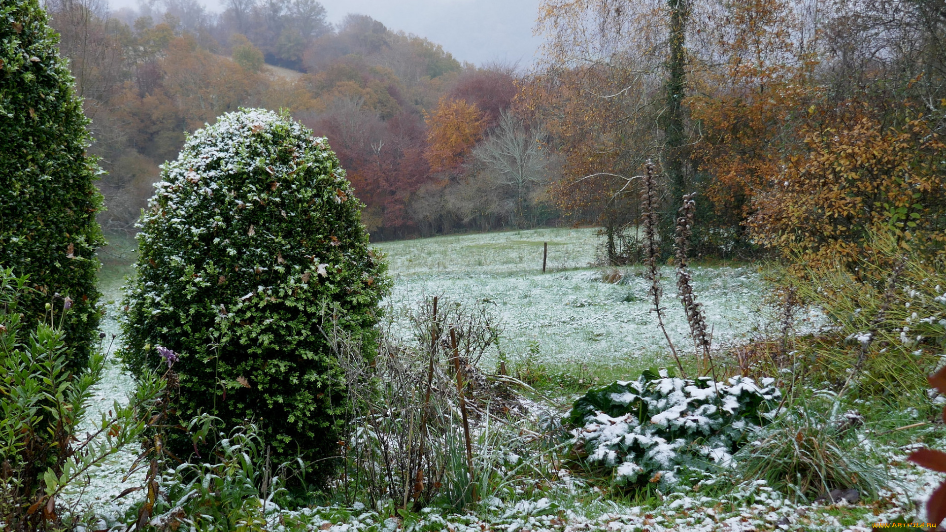 природа, пейзажи, простор