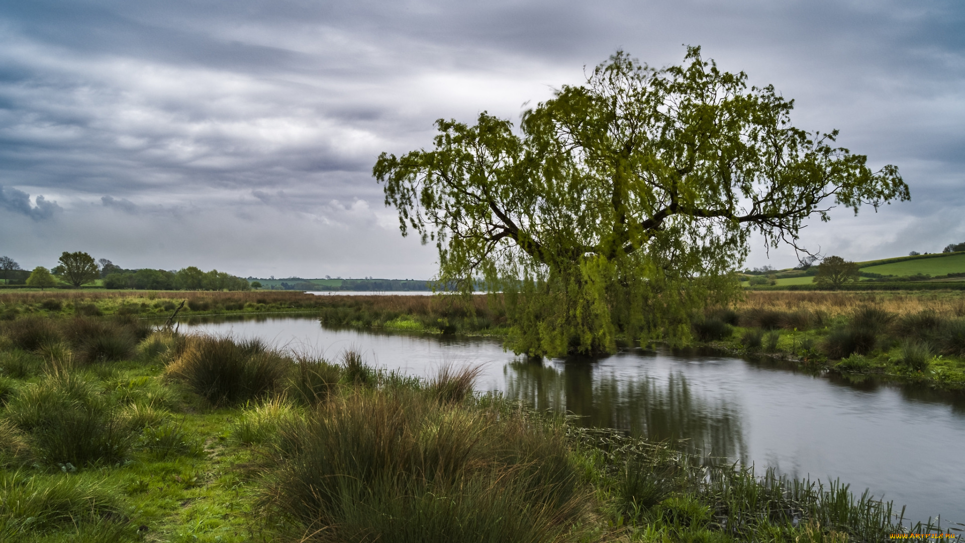 природа, реки, озера, простор