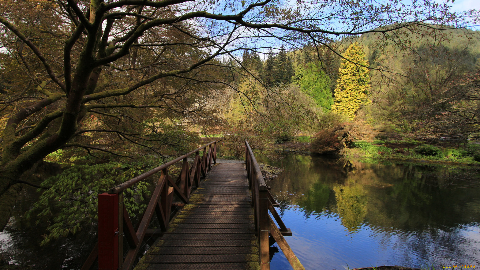 природа, реки, озера, простор