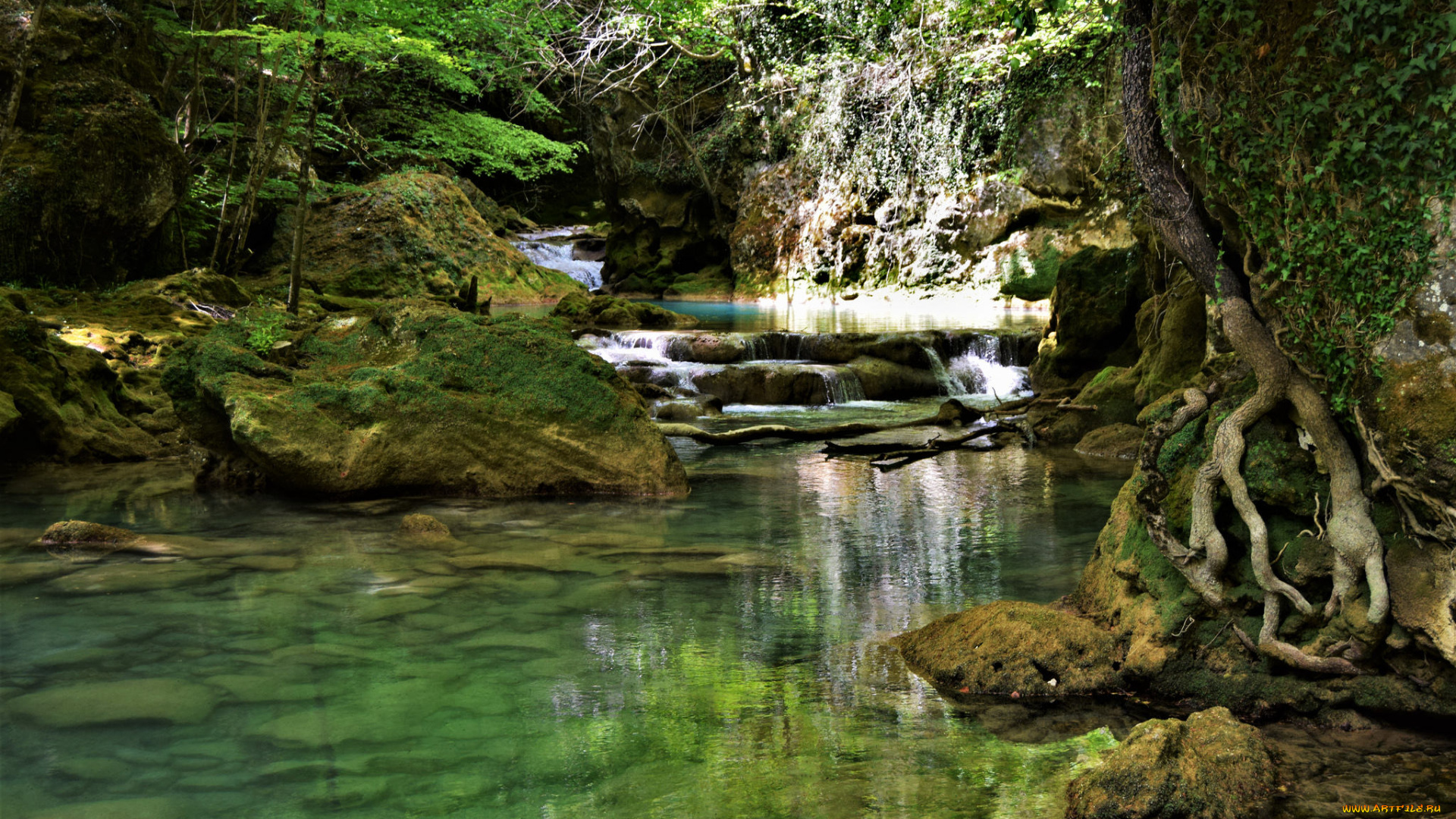 природа, реки, озера, простор