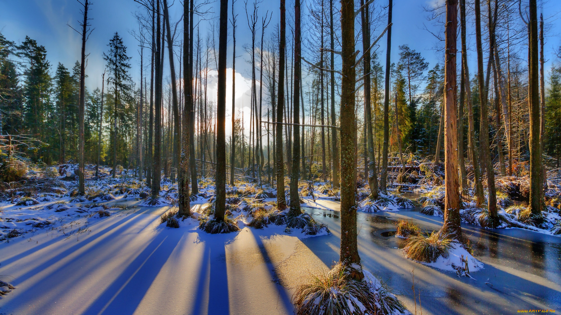 природа, зима, простор