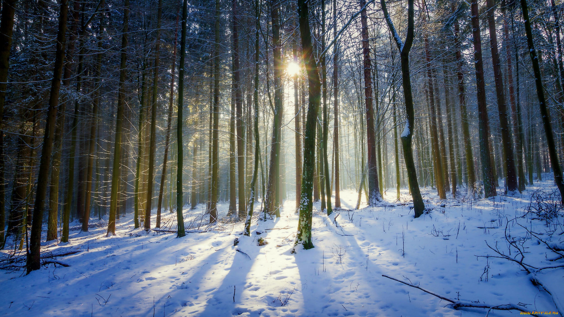 природа, зима, простор