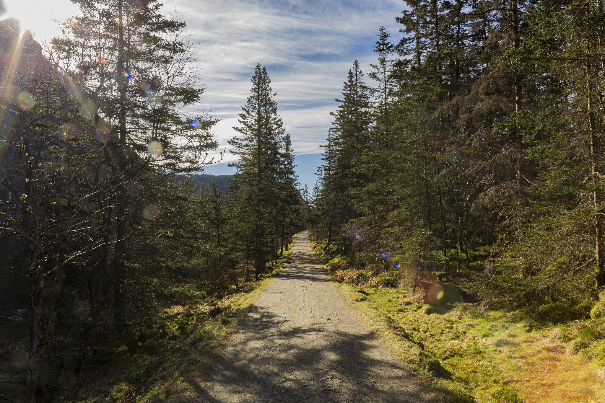 природа, дороги, простор