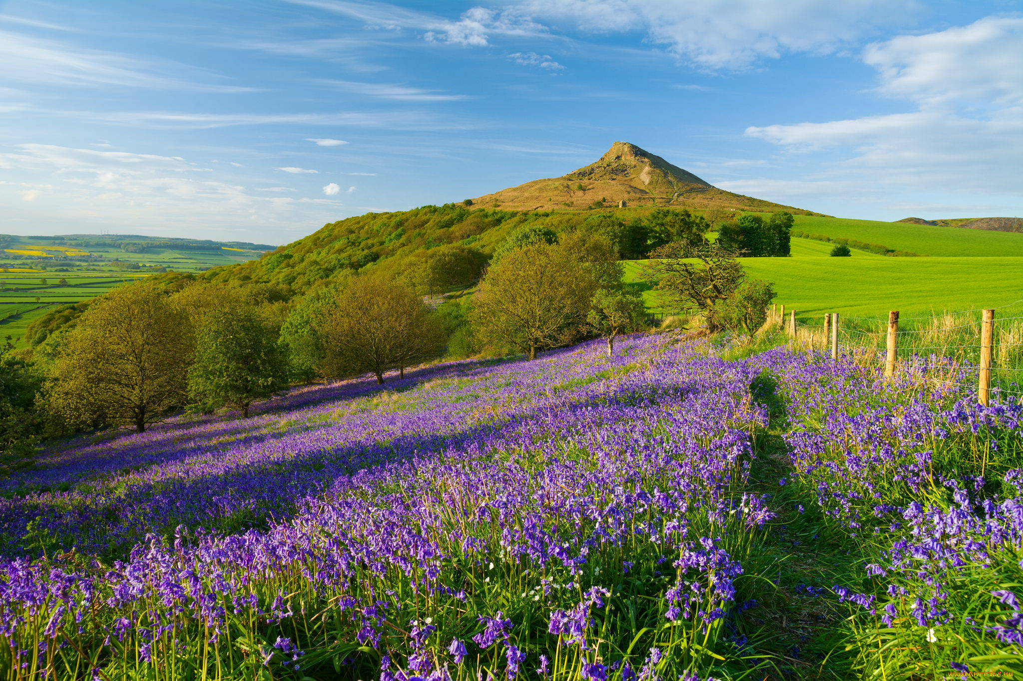 природа, луга, простор