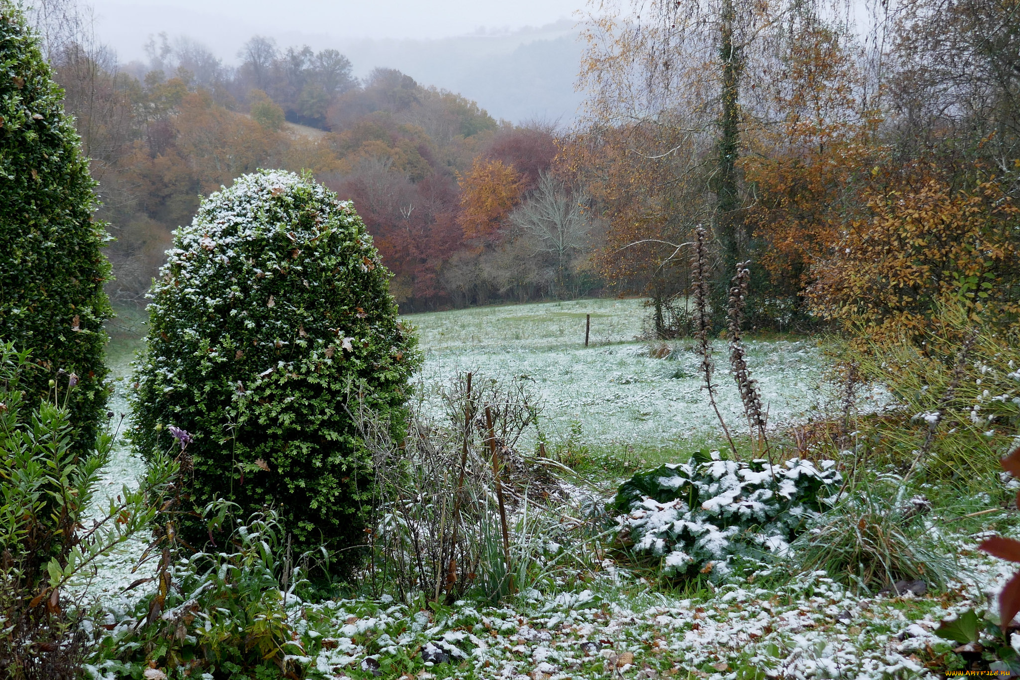 природа, пейзажи, простор