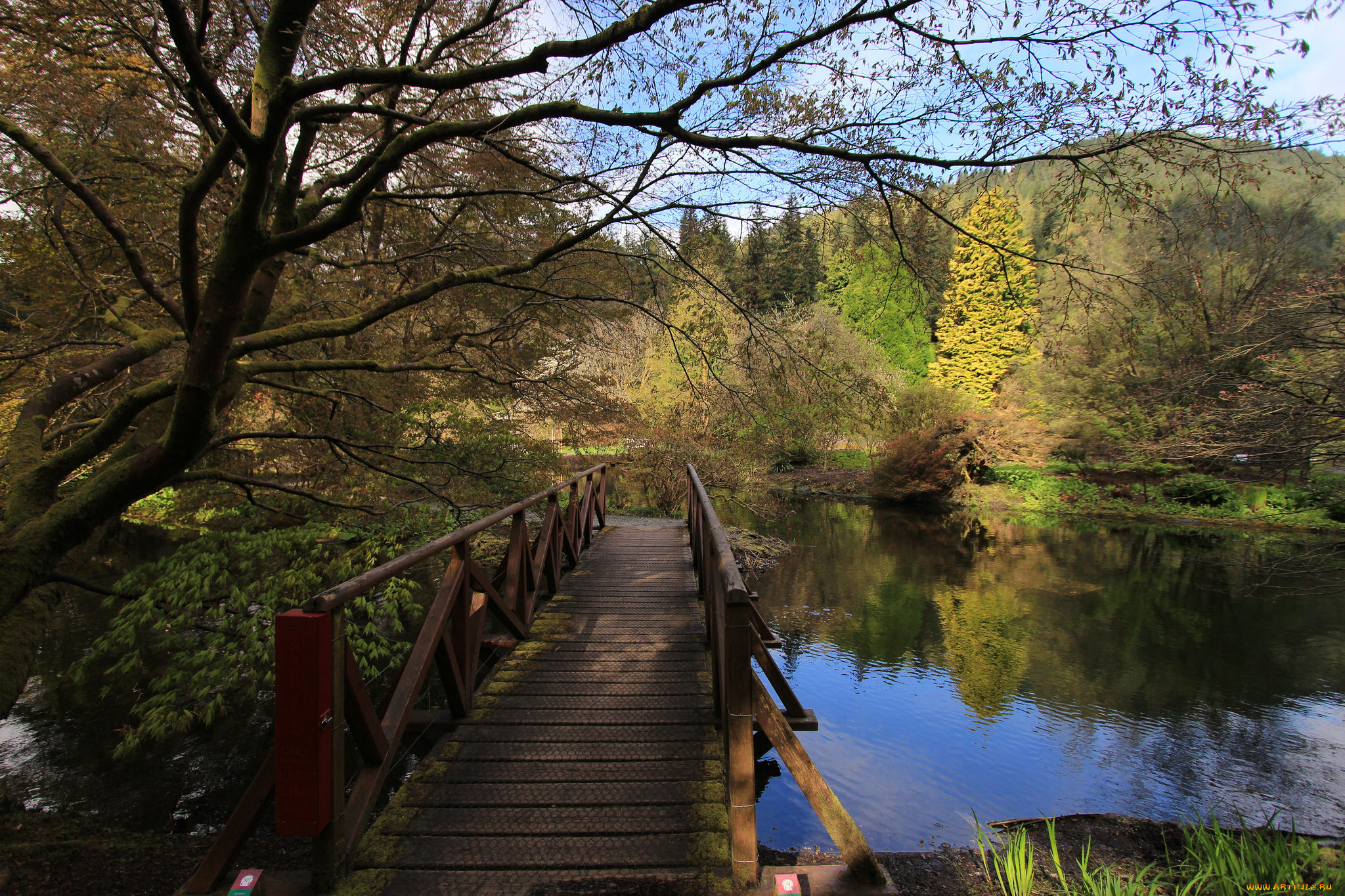 природа, реки, озера, простор