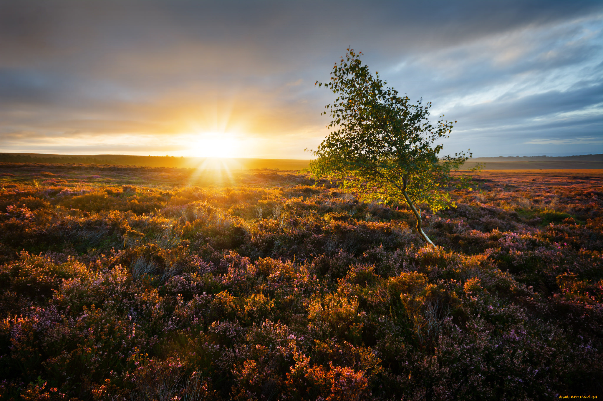 природа, восходы, закаты, простор