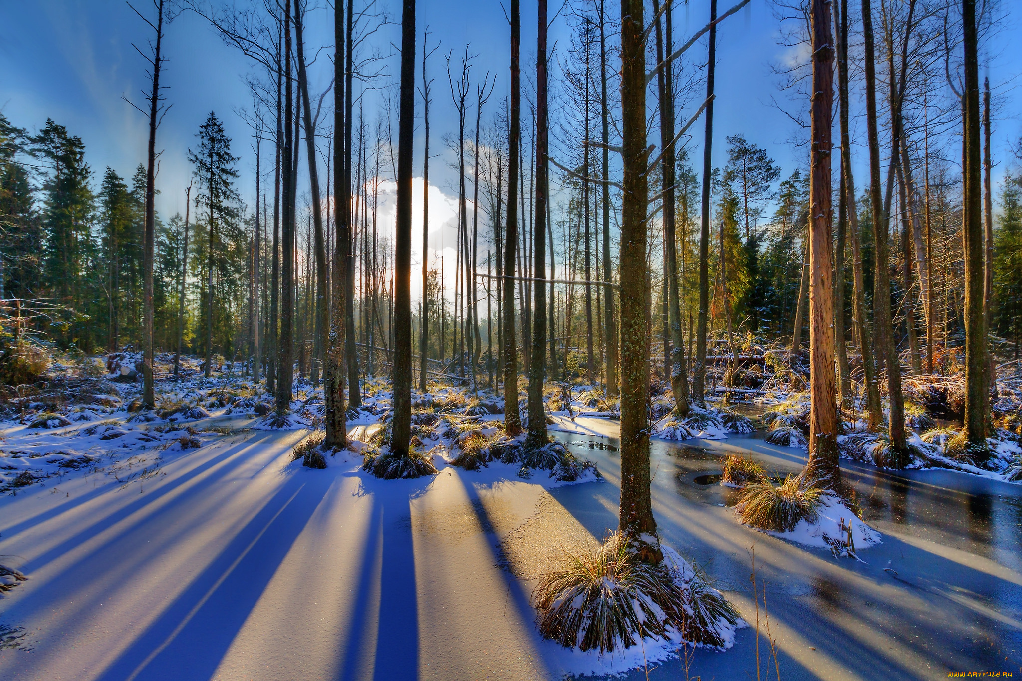 природа, зима, простор