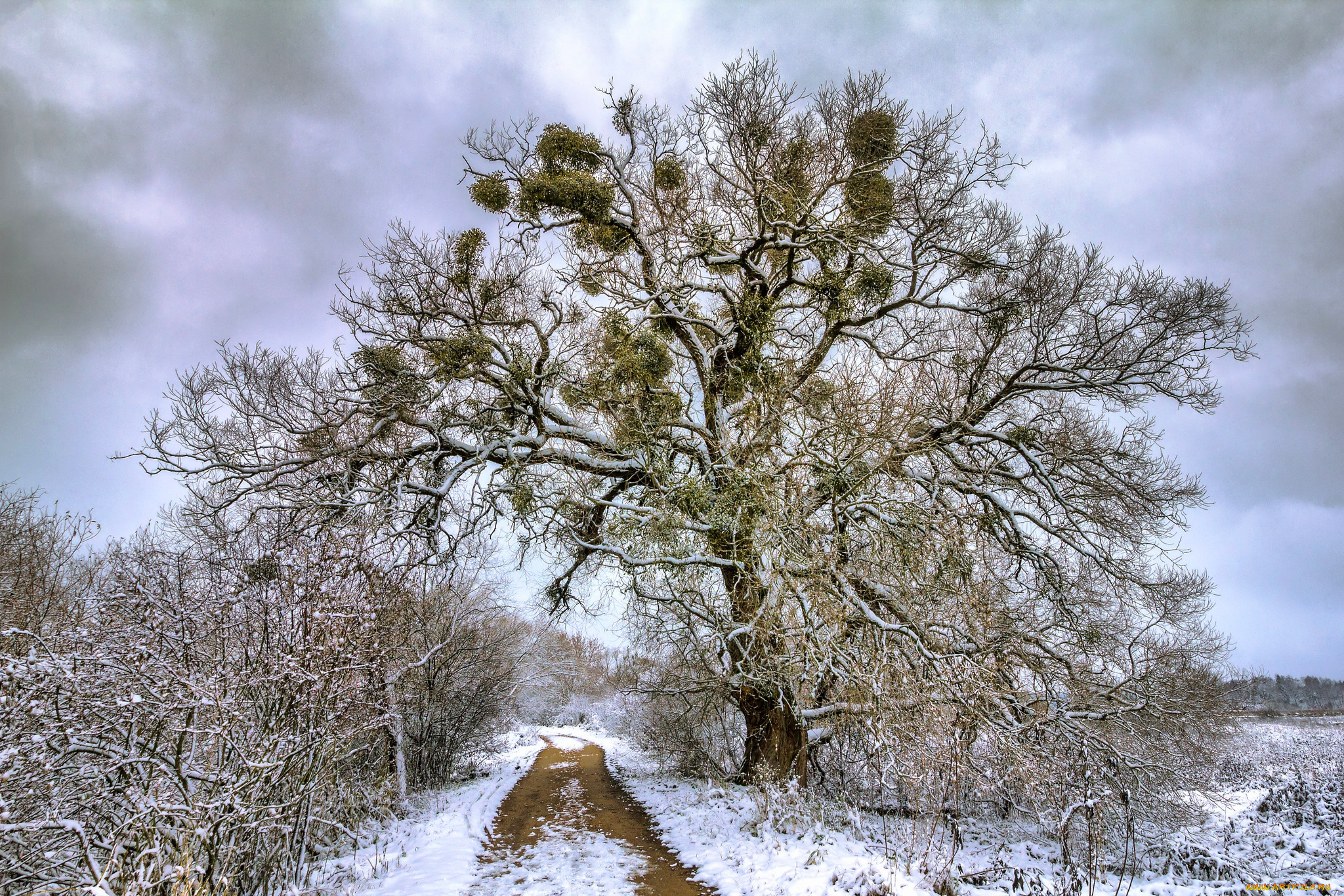 природа, зима, простор