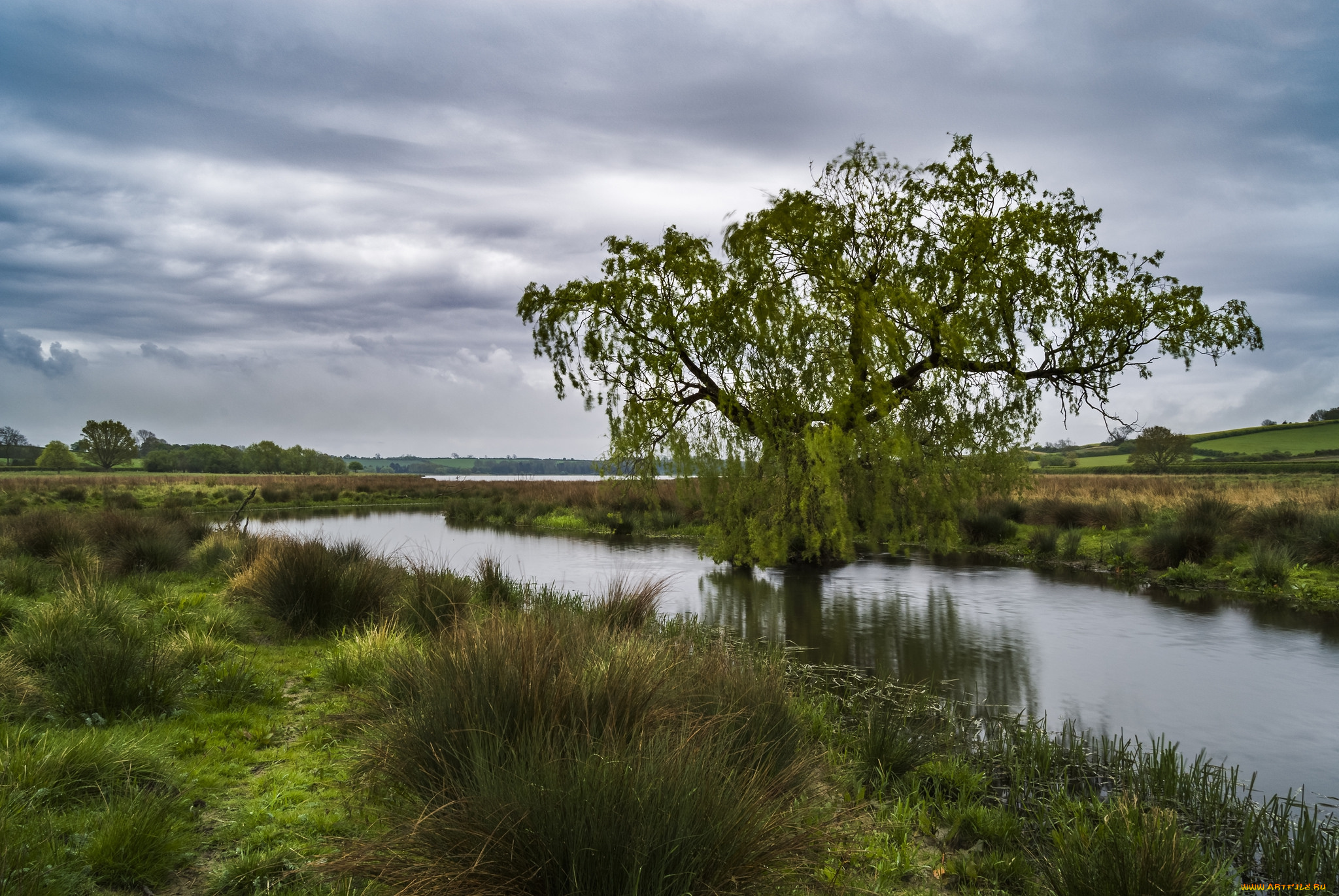 природа, реки, озера, простор