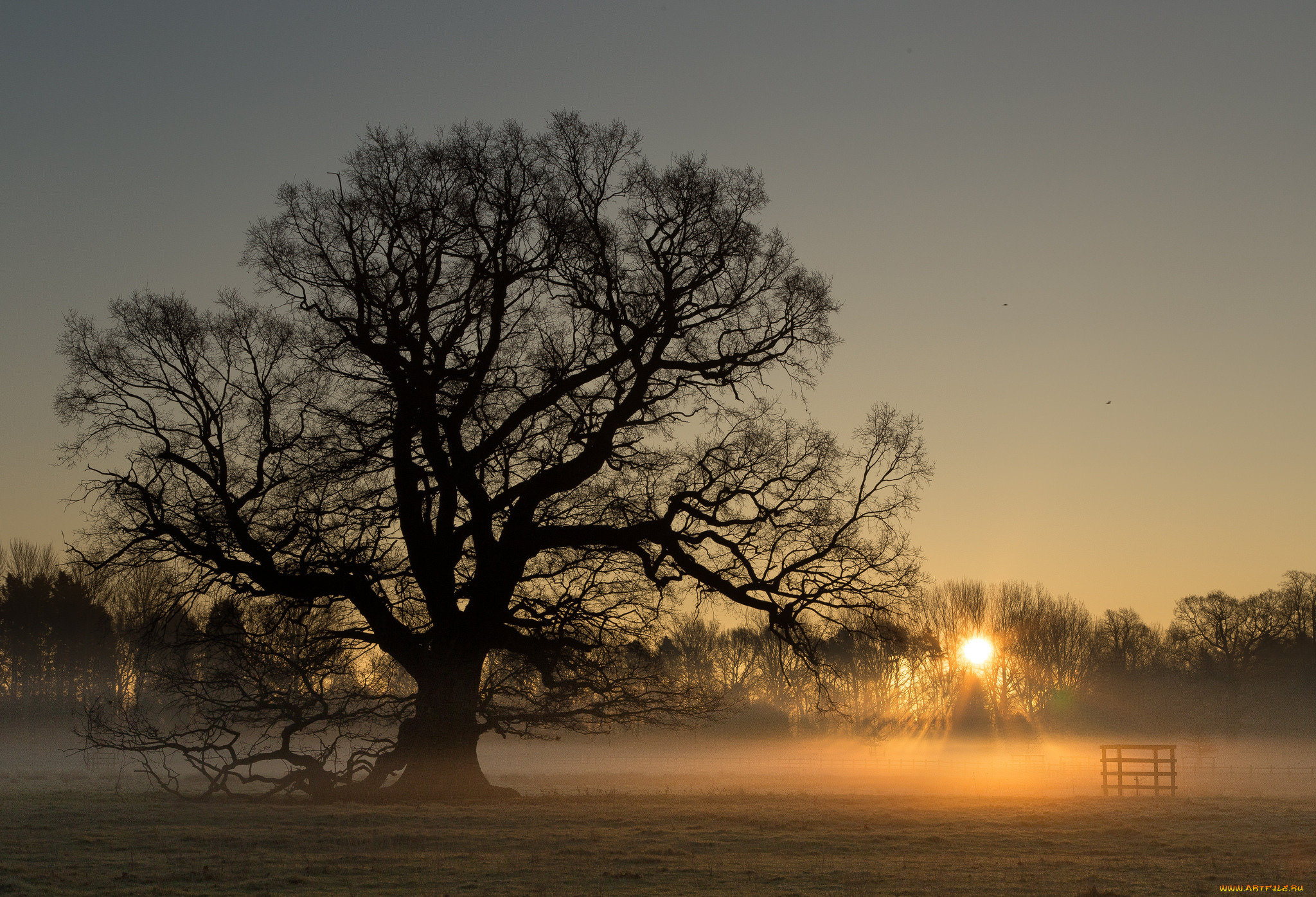 природа, восходы, закаты, простор