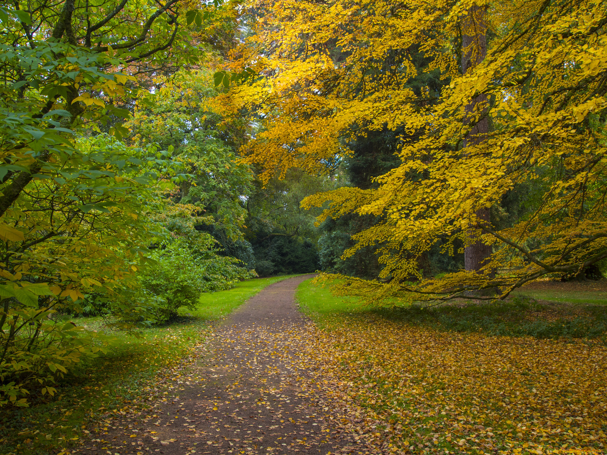 природа, дороги, простор