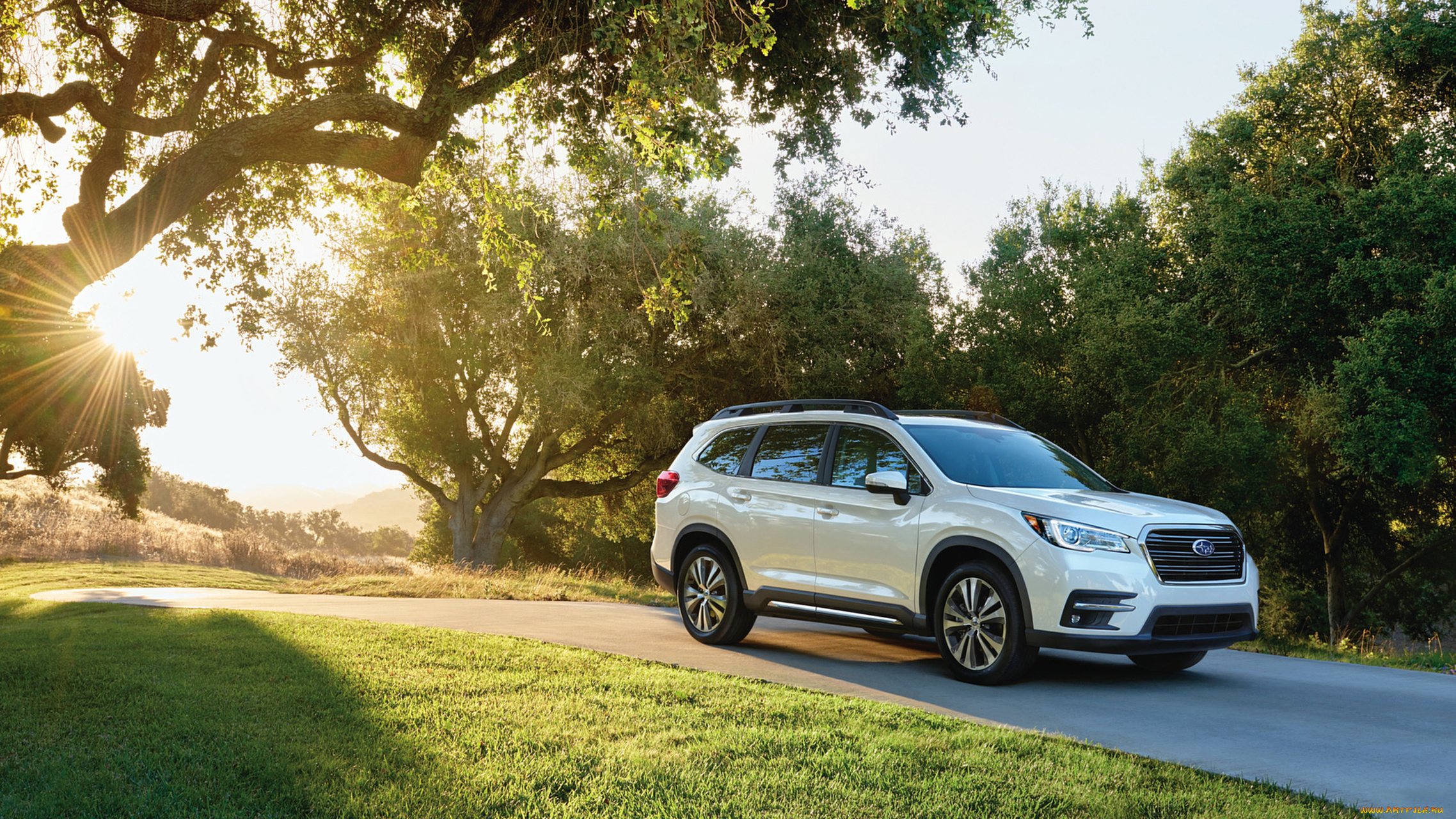 subaru, ascent, 2019, автомобили, subaru, ascent, 2019, внедорожник, белый