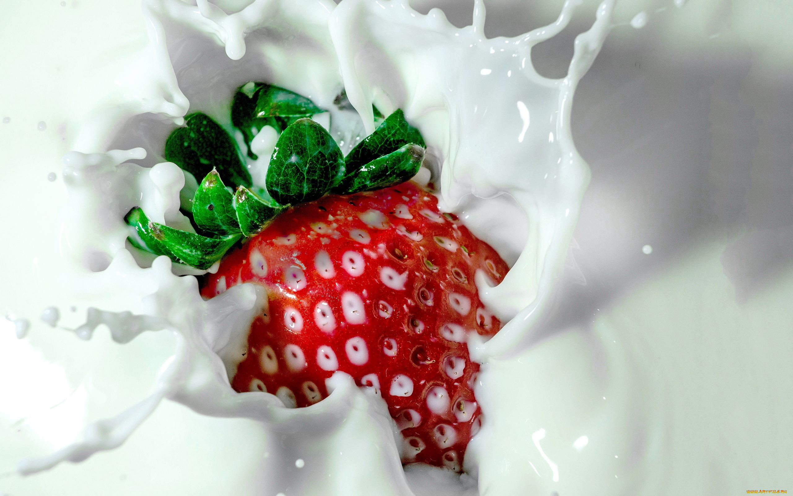 еда, клубника, , земляника, молоко