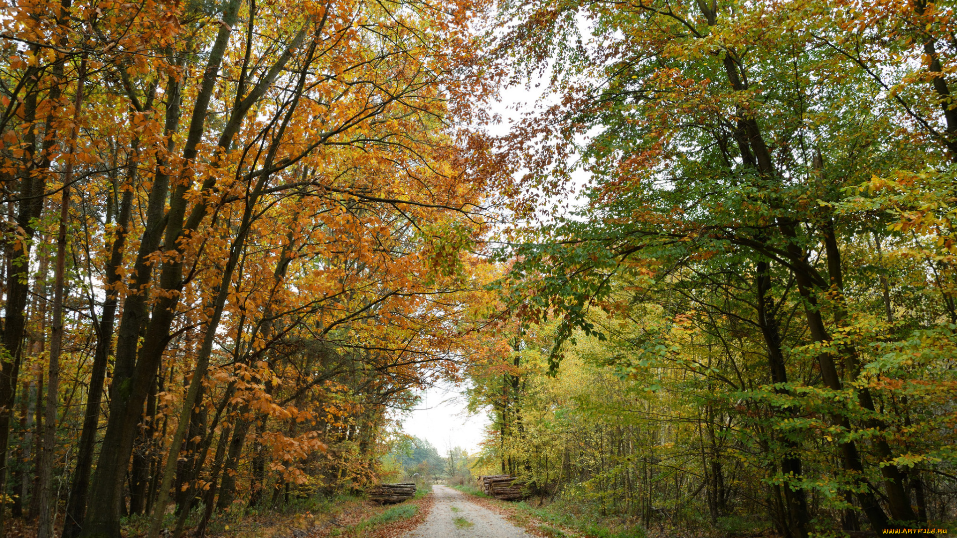 природа, дороги, простор