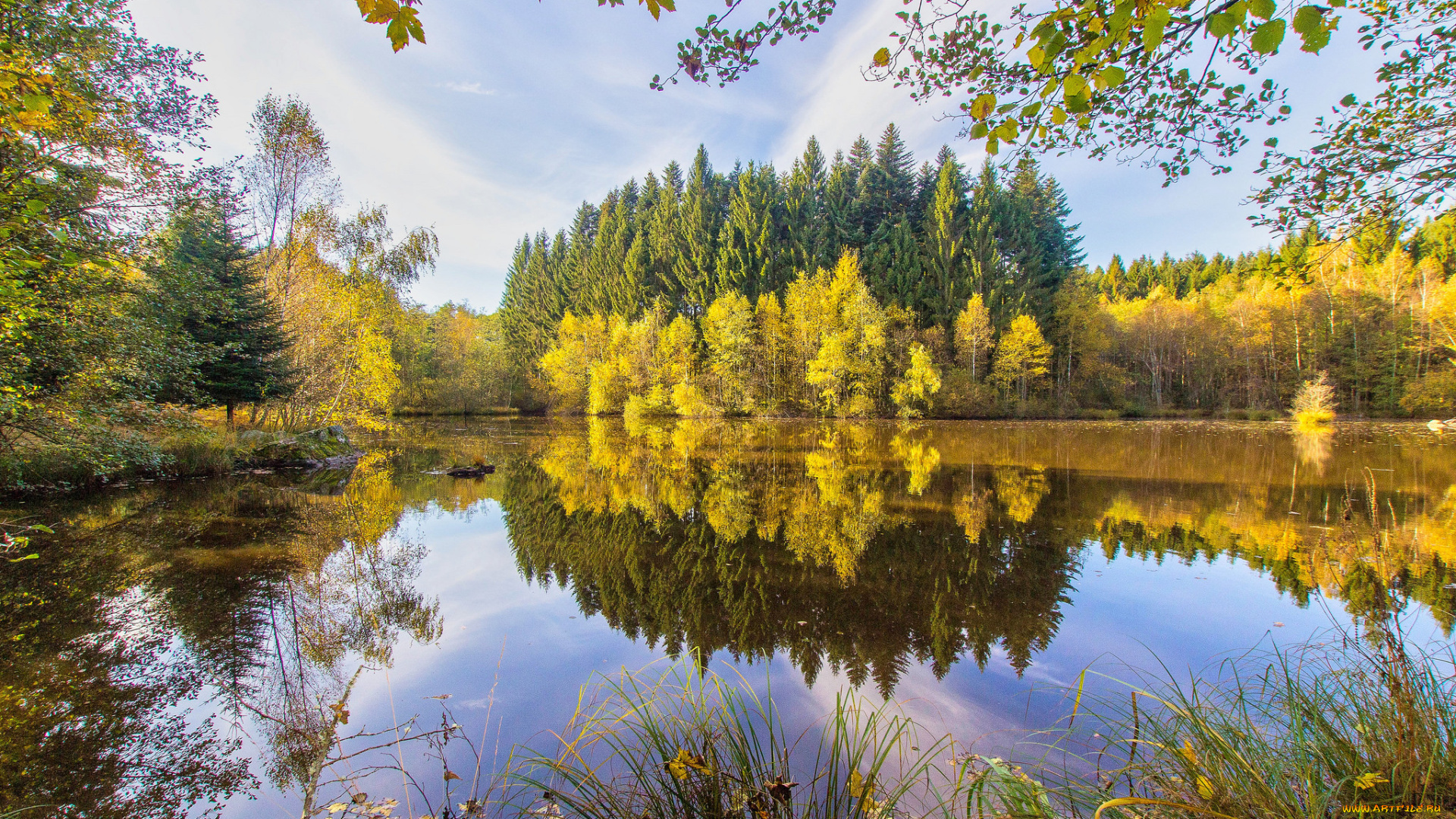 природа, реки, озера, простор