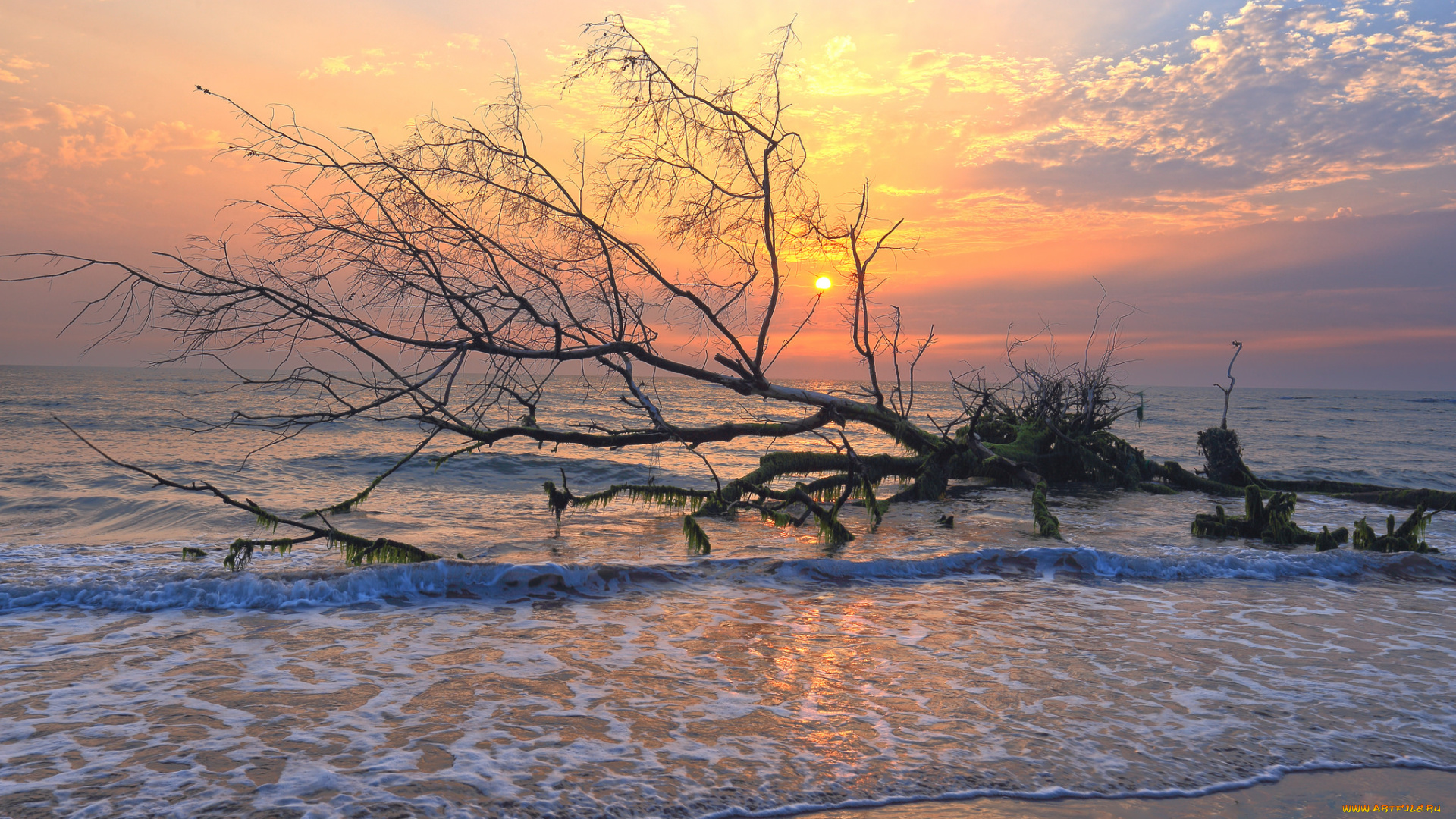 природа, восходы, закаты, простор