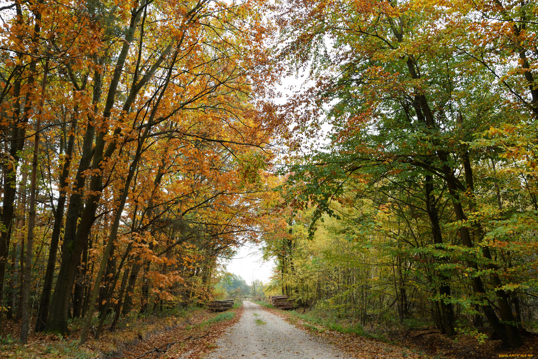 природа, дороги, простор