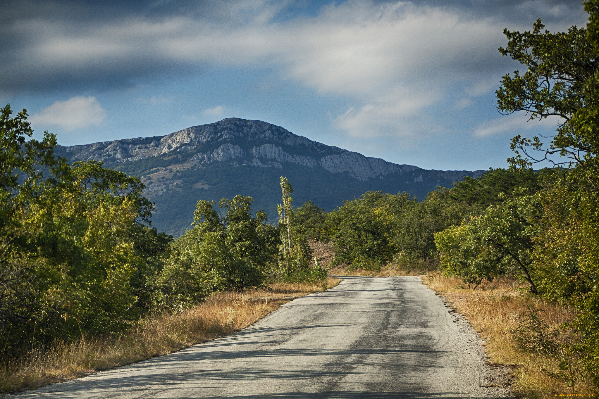 природа, дороги, простор