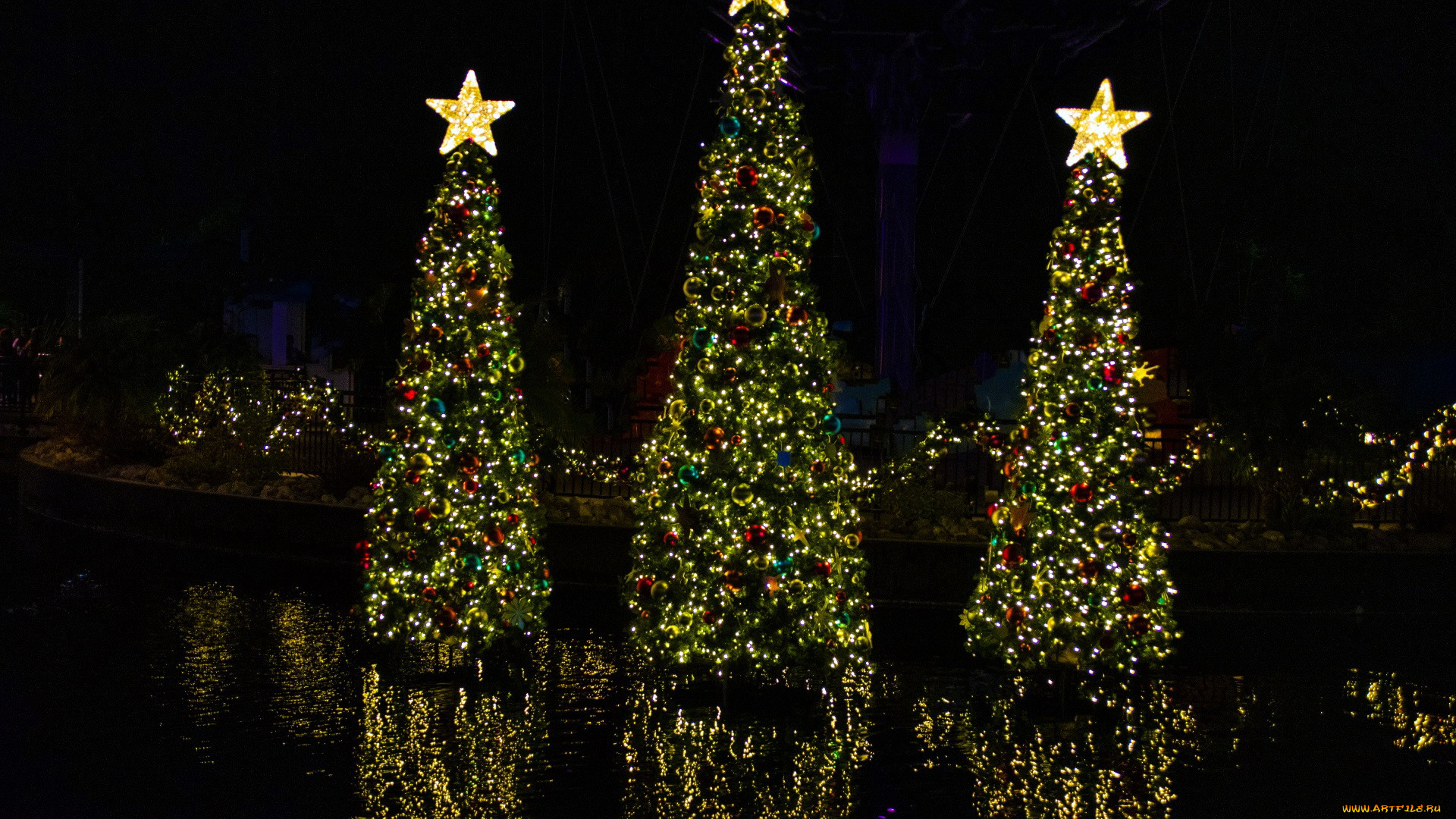 праздничные, ёлки, елки, звезды