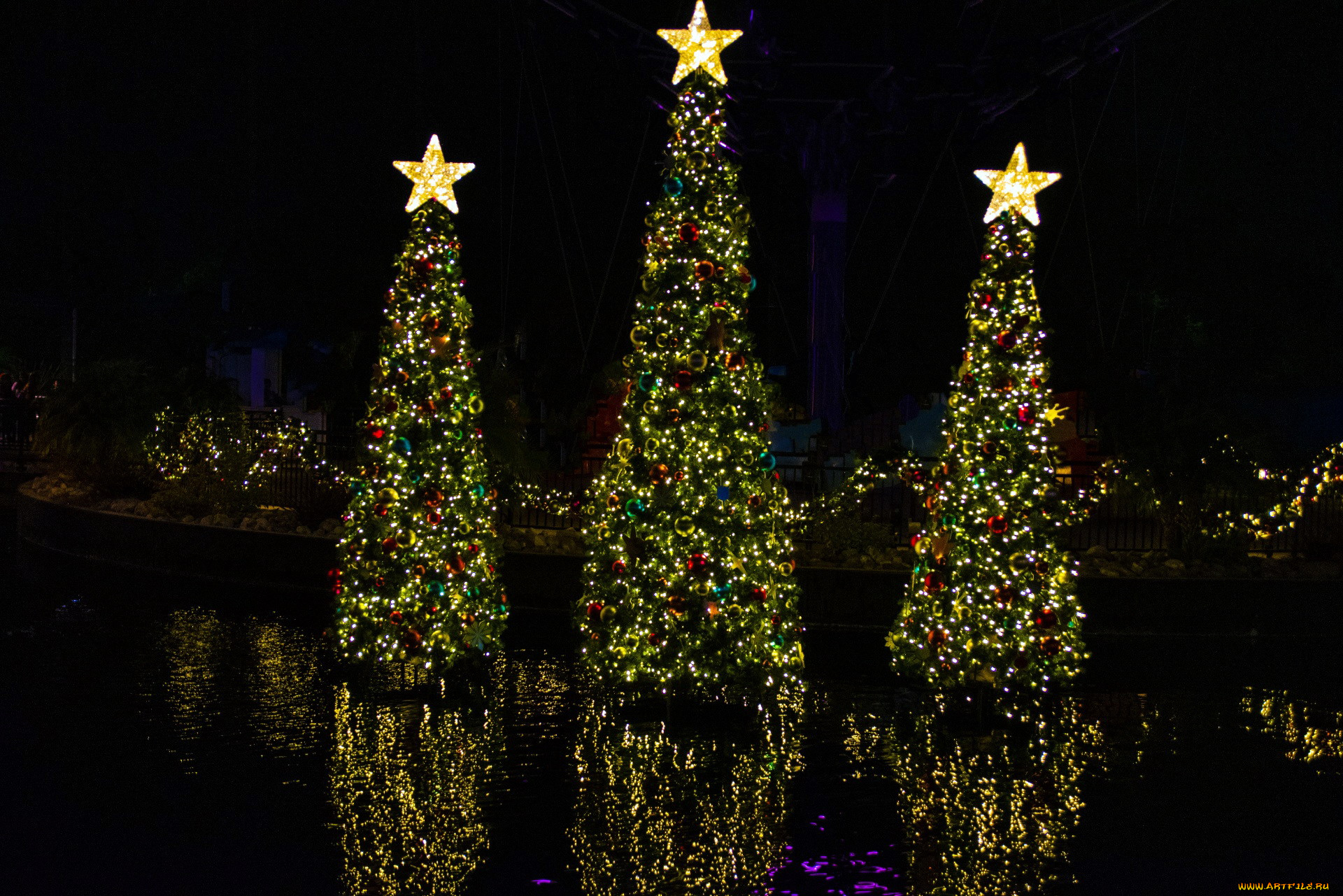 праздничные, ёлки, елки, звезды